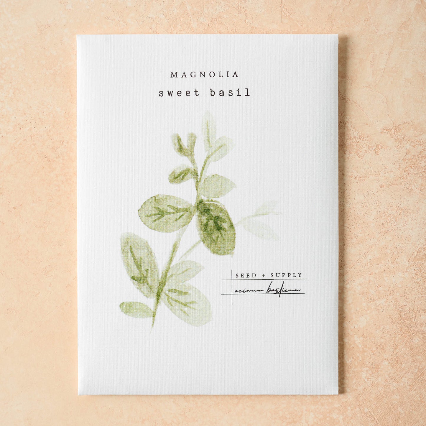 Watercolor Magnolia Seeds