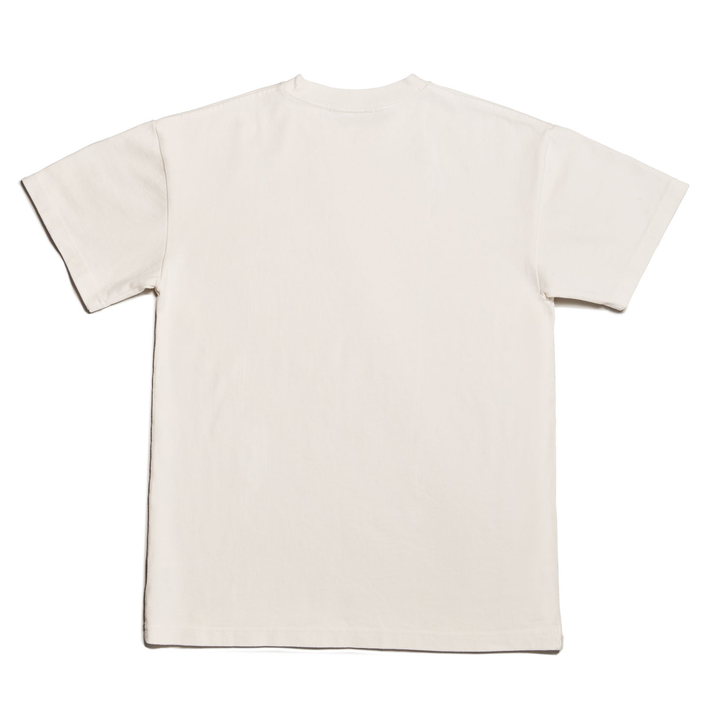 Varsity Logo T-shirt in Moonbeam, Small