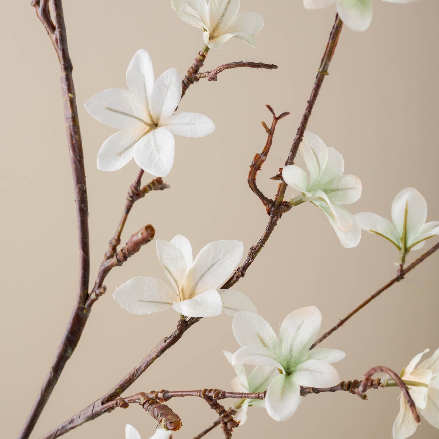 White Magnolia Bloom Spray