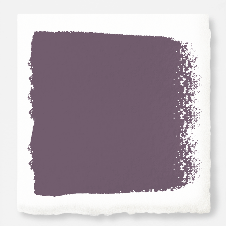 Webster Avenue - Trim, Door + Cabinetry Paint