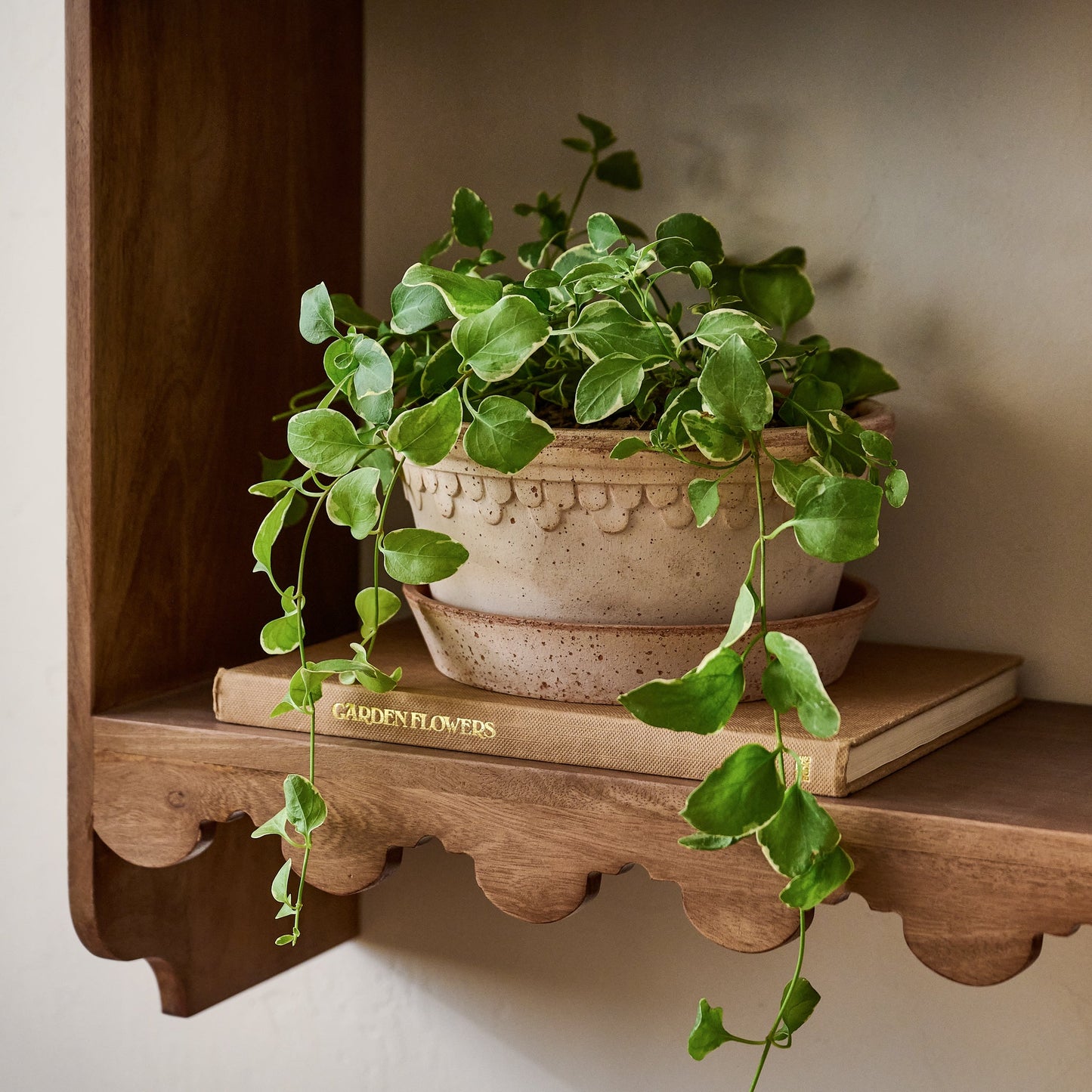 Bergs Københavner Herb Pot & Saucer