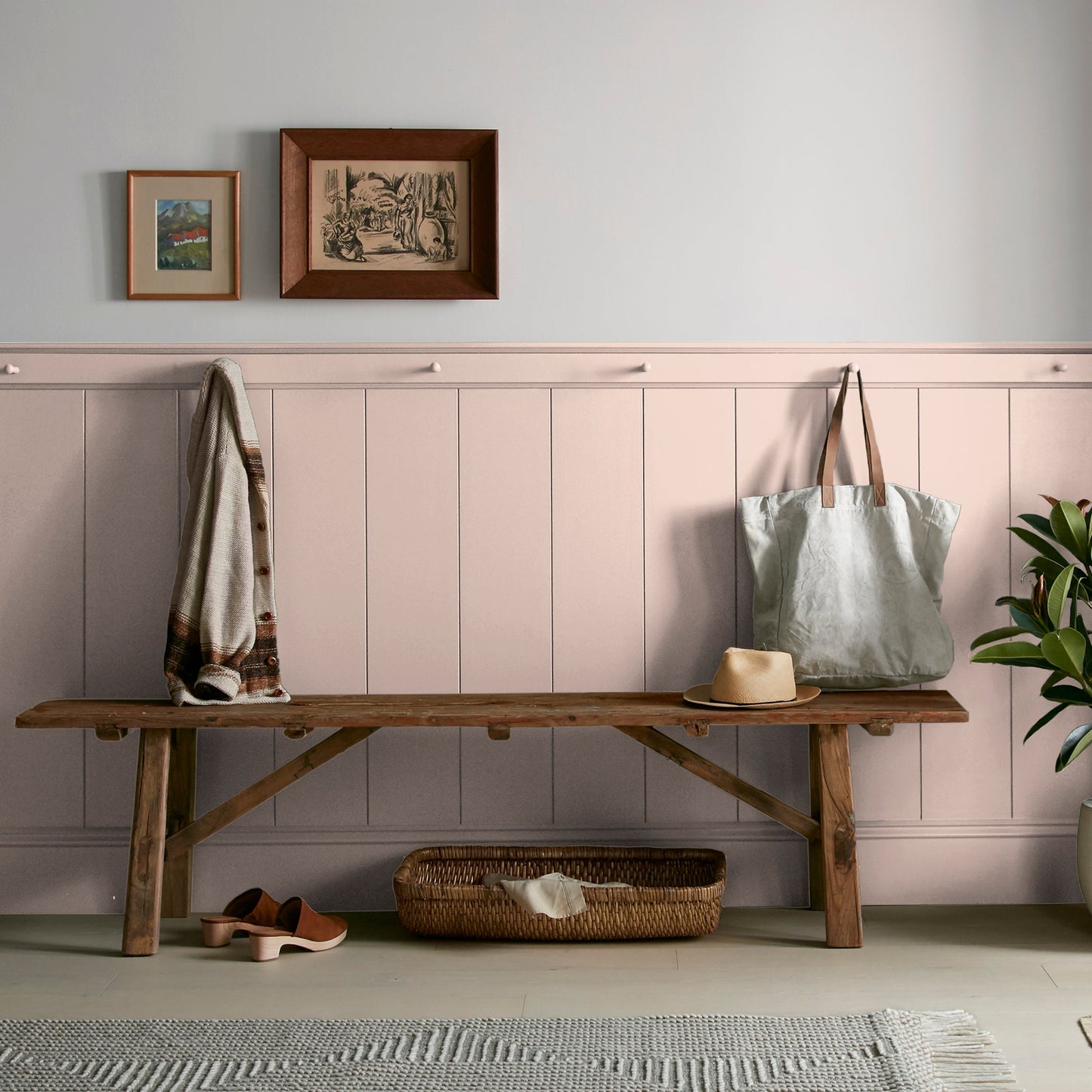 Ella Rose - Premium Interior Paint