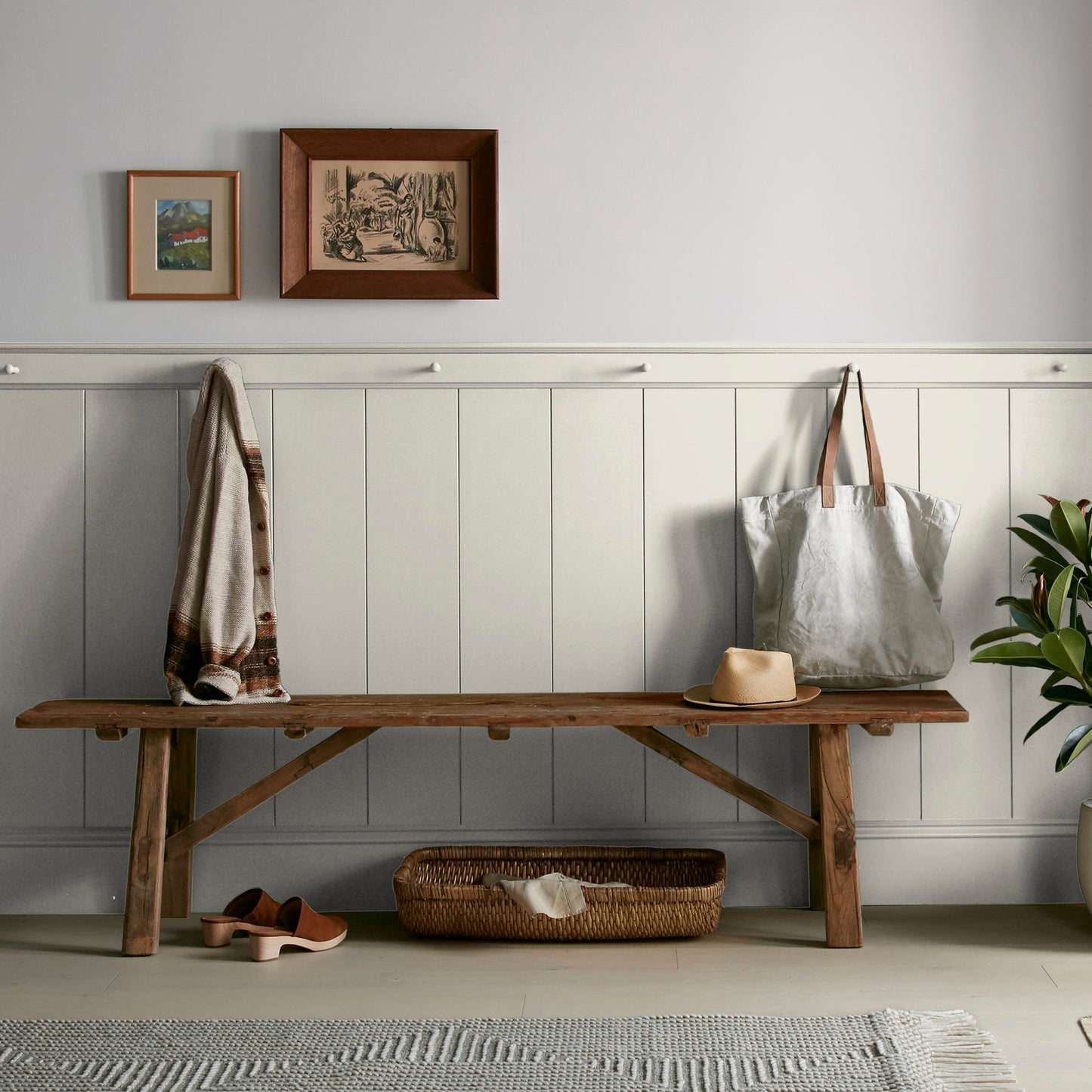 Locally Sown - Premium Interior Paint