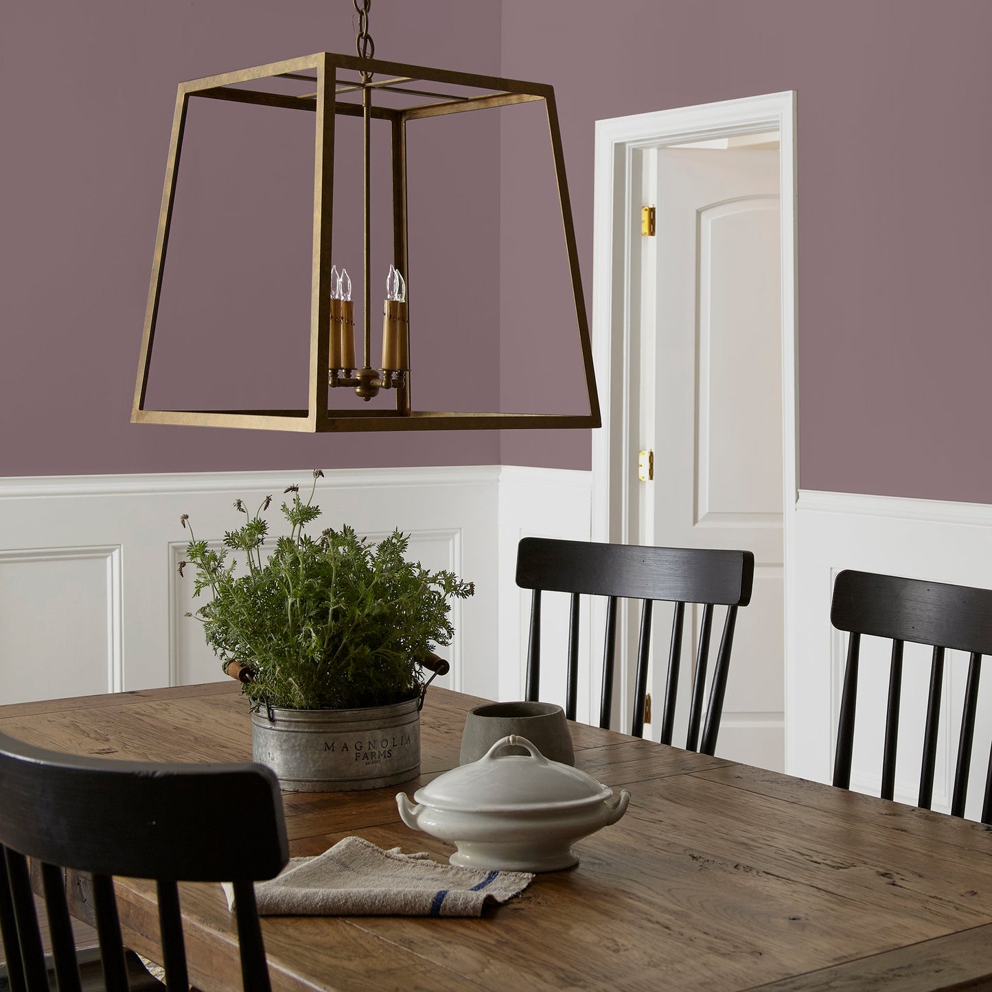 Webster Avenue - Premium Interior Paint