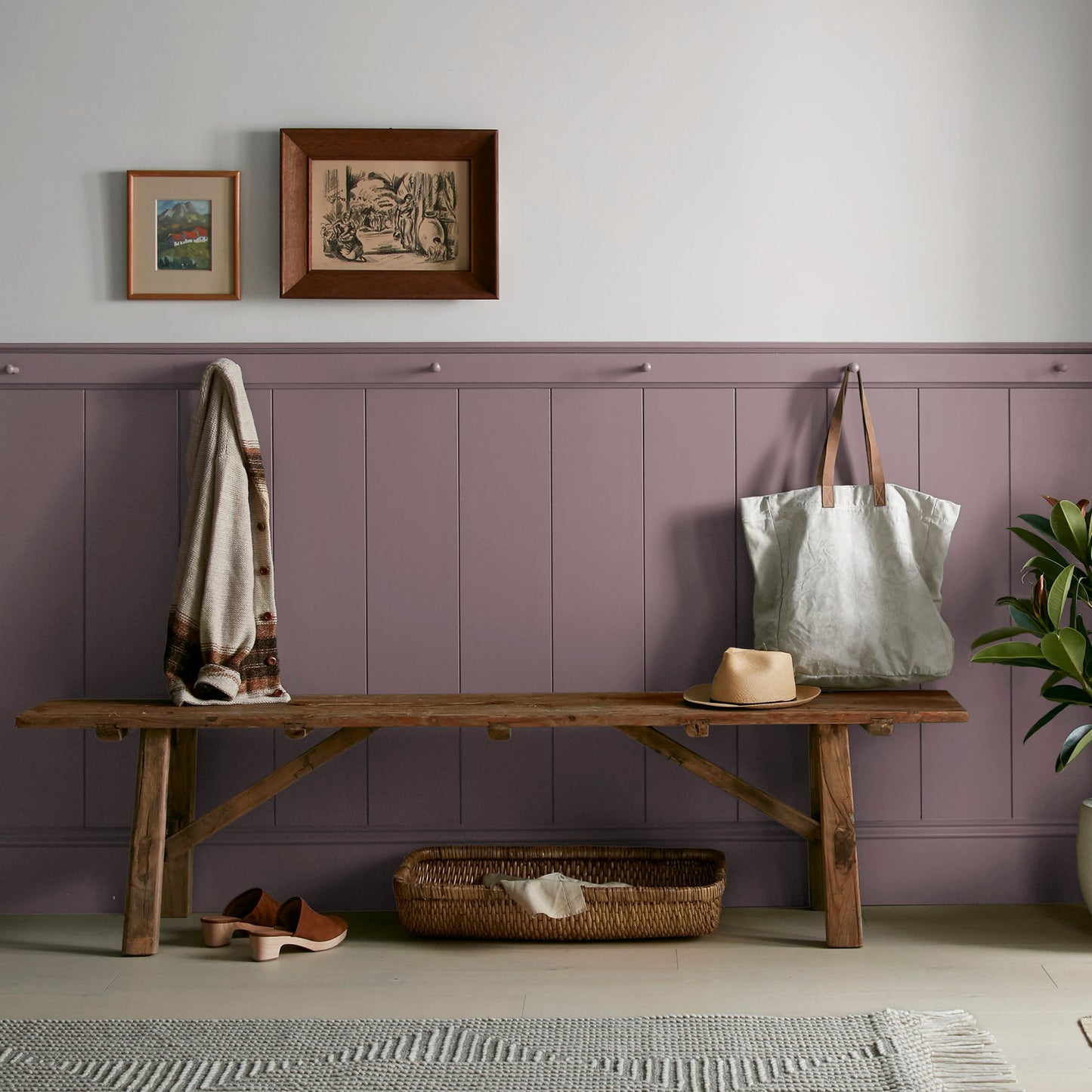 Webster Avenue - Premium Interior Paint