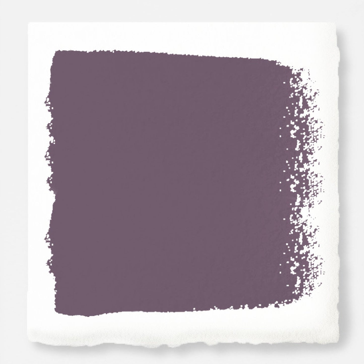 Webster Avenue - Classic Interior Paint