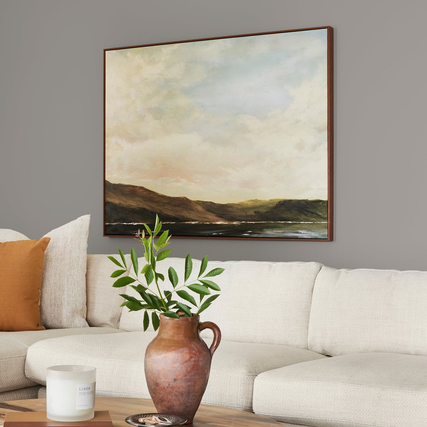 Before & After - Classic Interior Paint