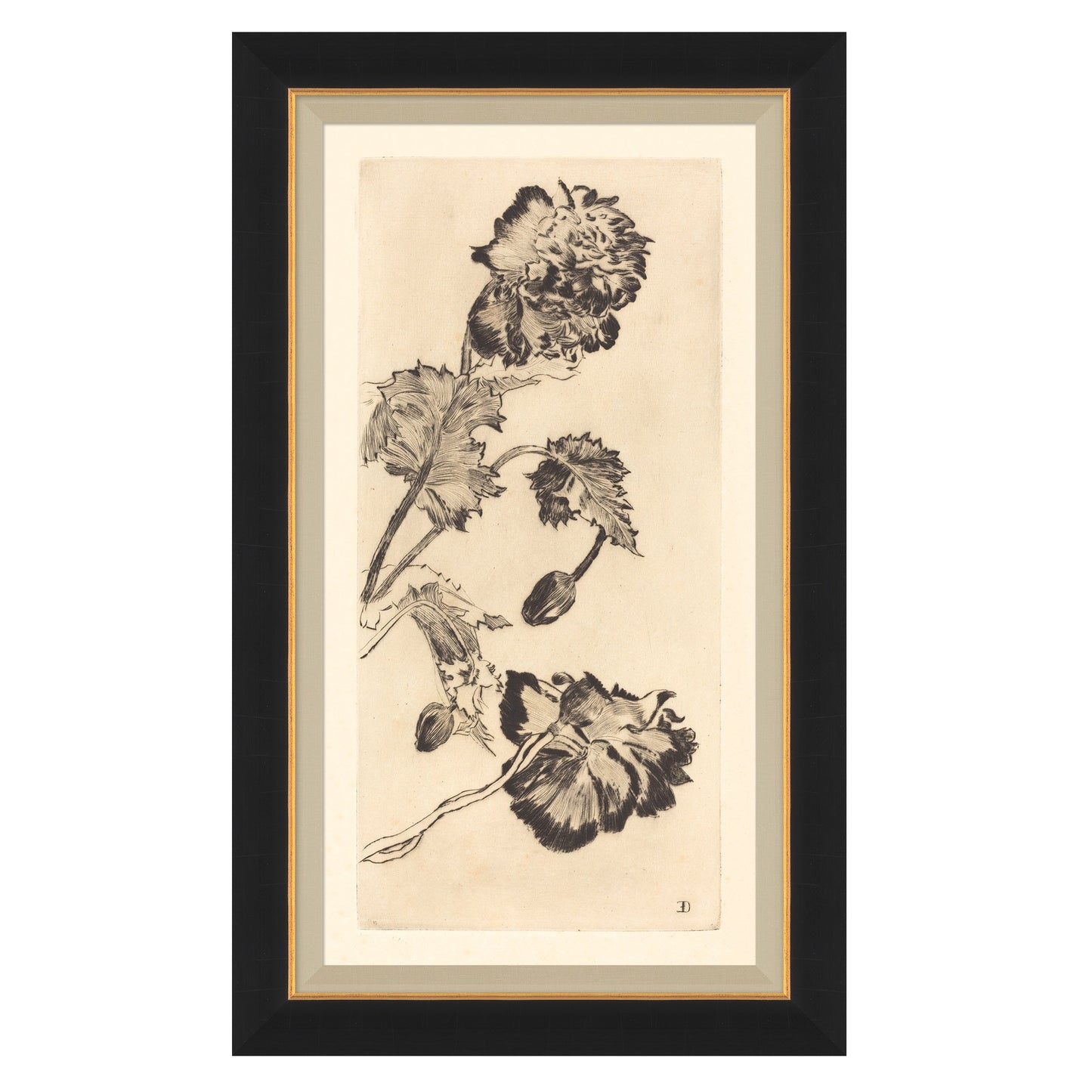 Vintage Peony I