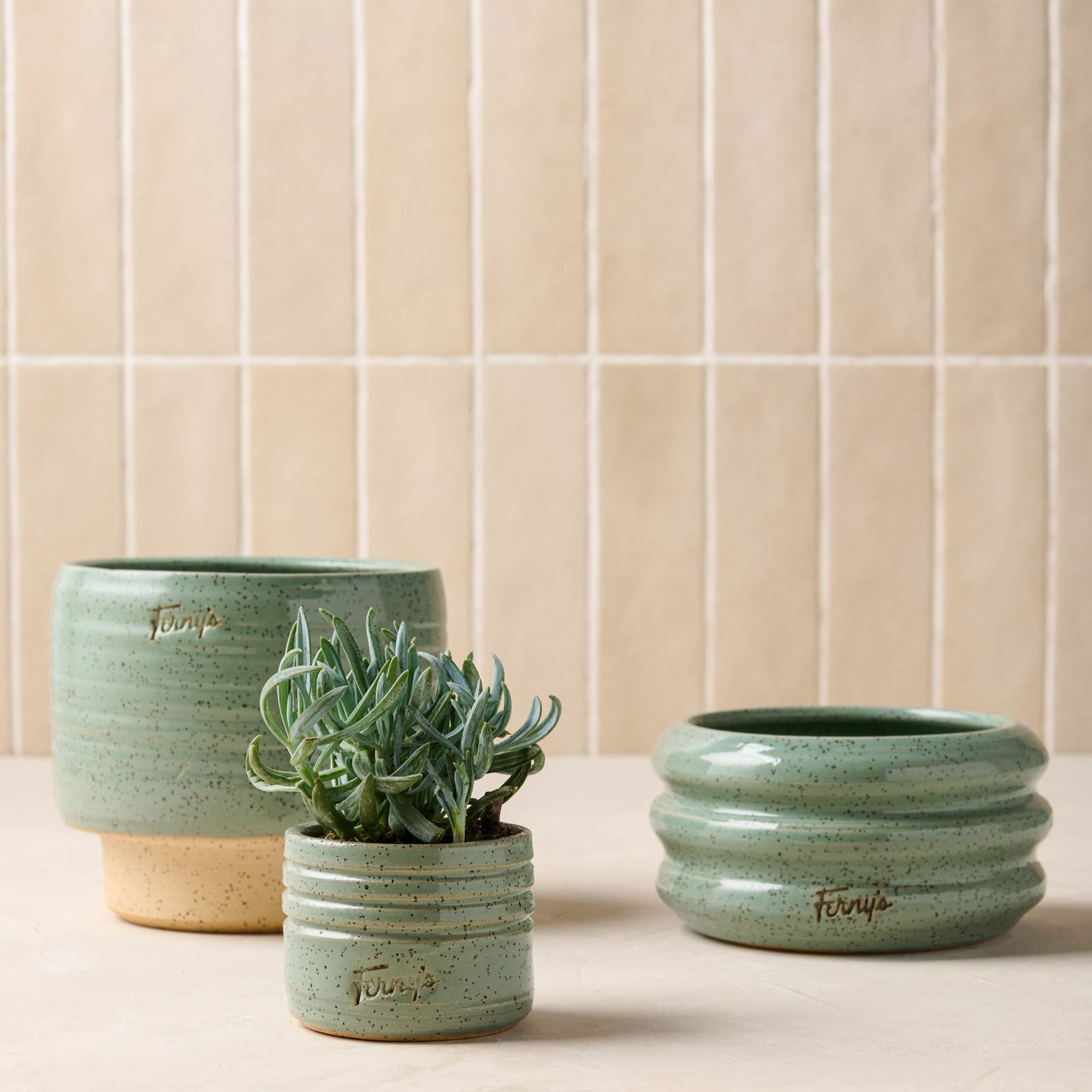 Black Oak Ferny's Small Blue Speckle Planter