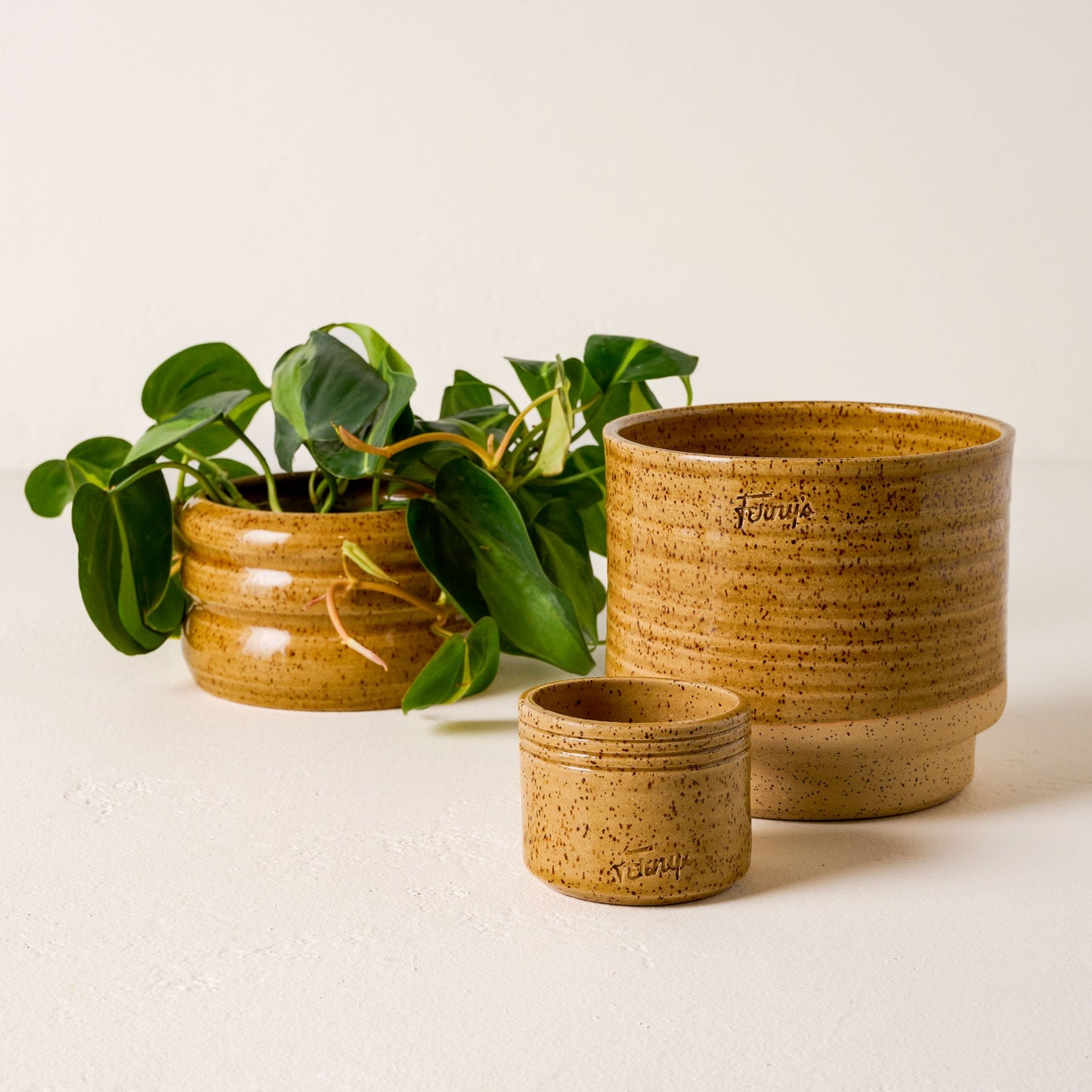 Black Oak Ferny's Small Speckle Planter Mustard