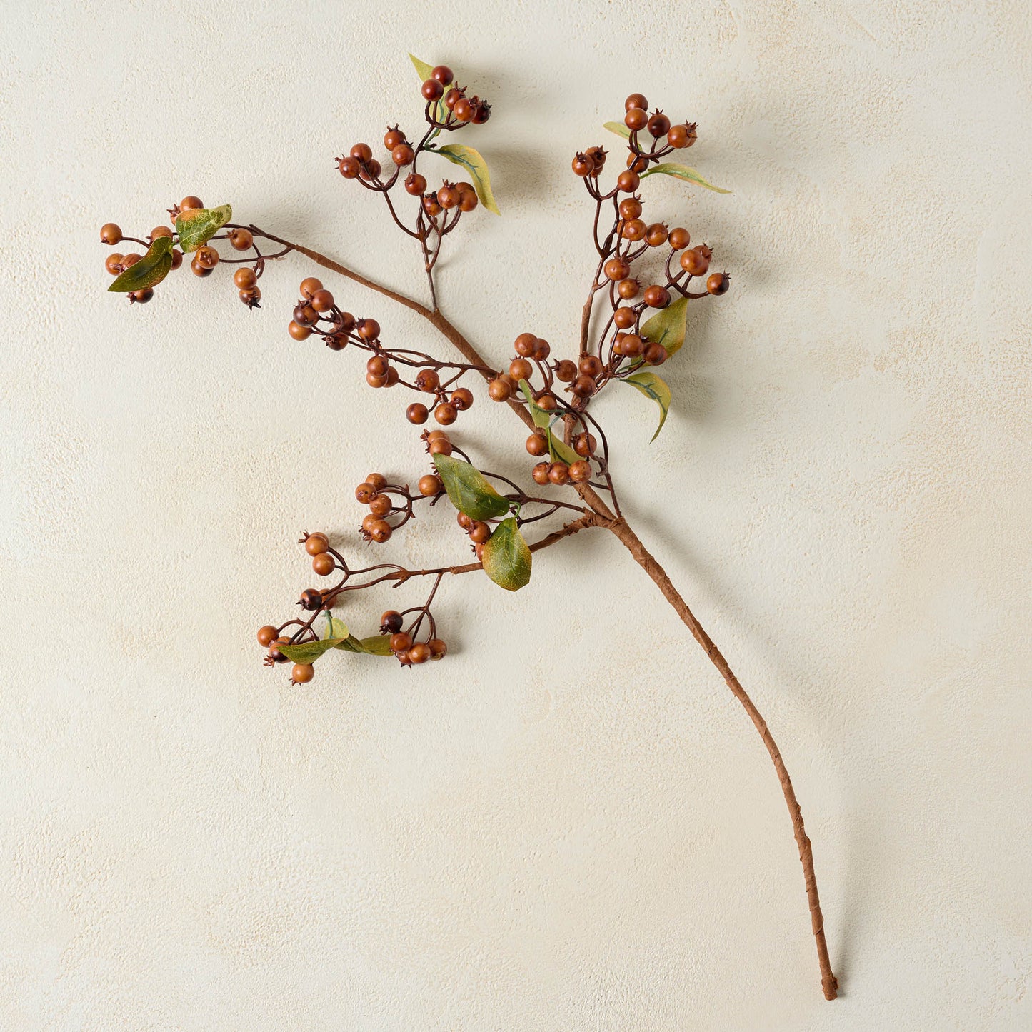Brown Berry Spray with Green Leaves
