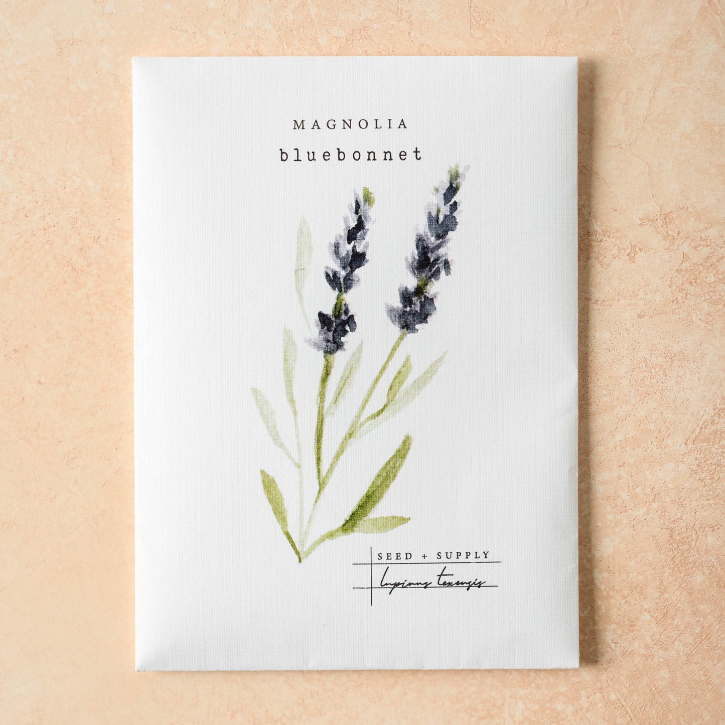 Watercolor Magnolia Seeds