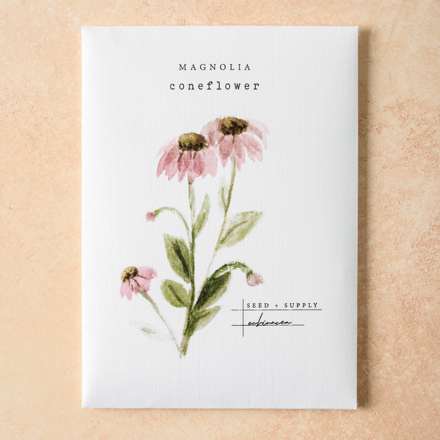 Watercolor Magnolia Seeds