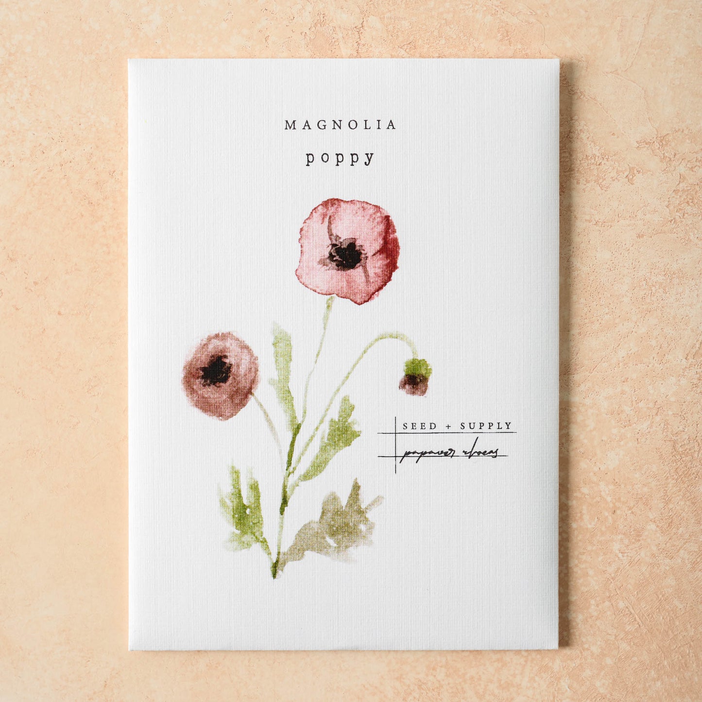 Watercolor Magnolia Seeds