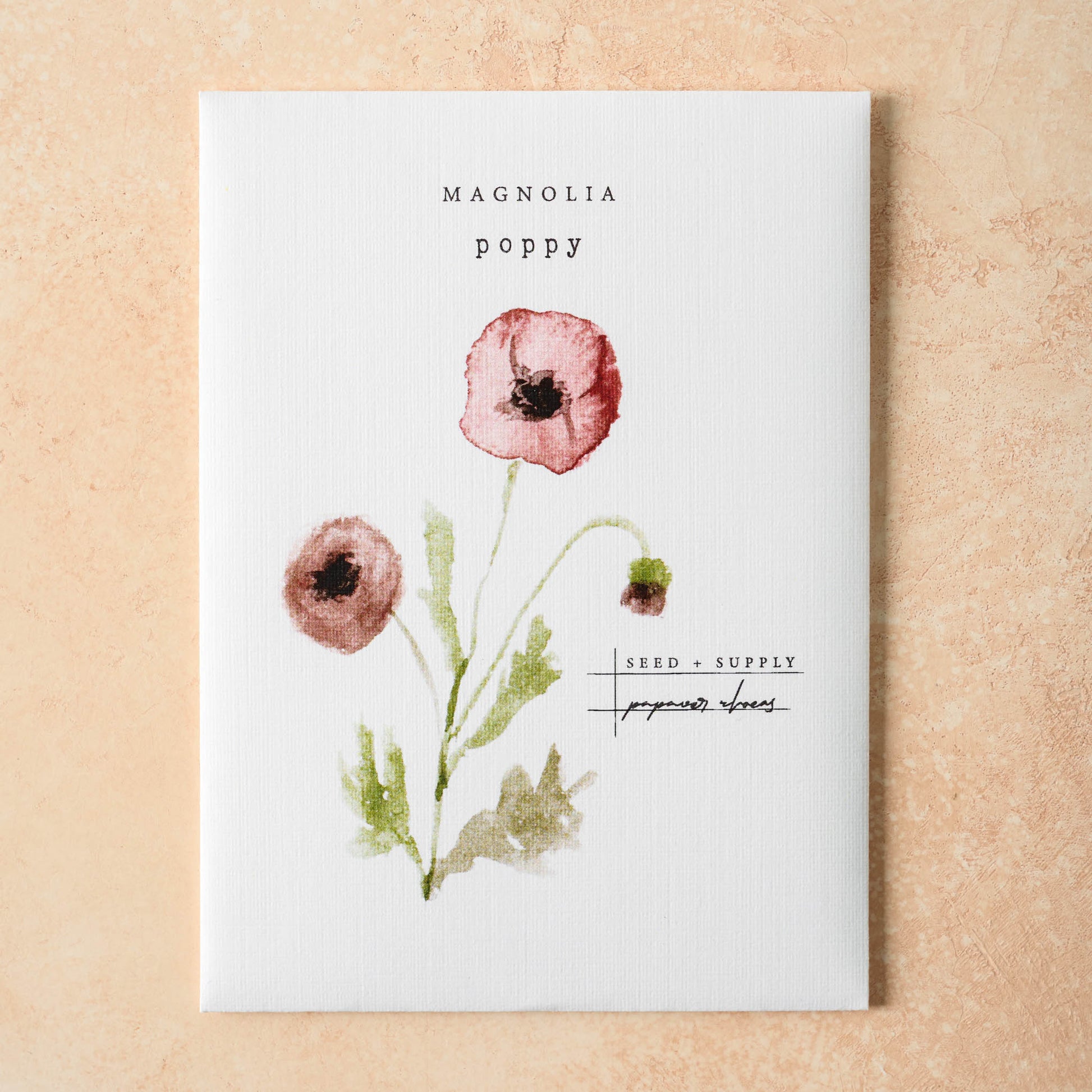 Watercolor Magnolia Seeds