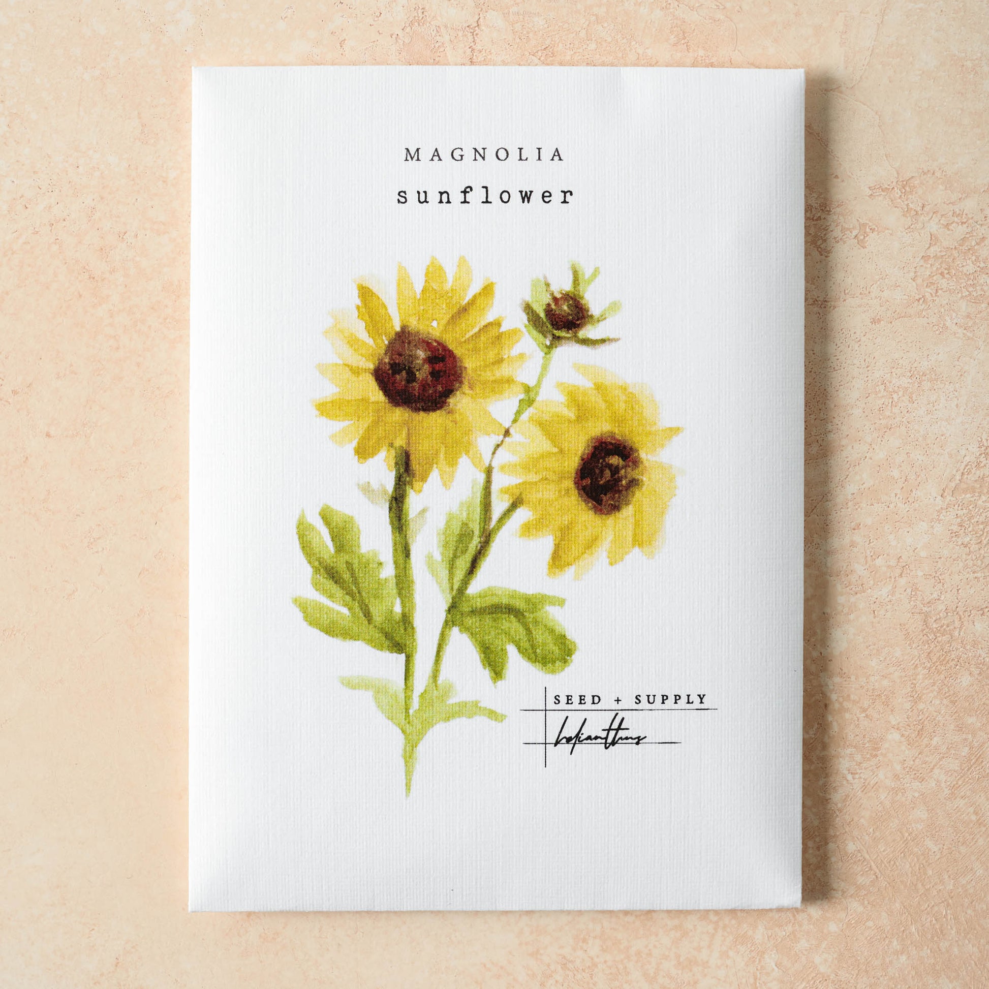 Watercolor Magnolia Seeds
