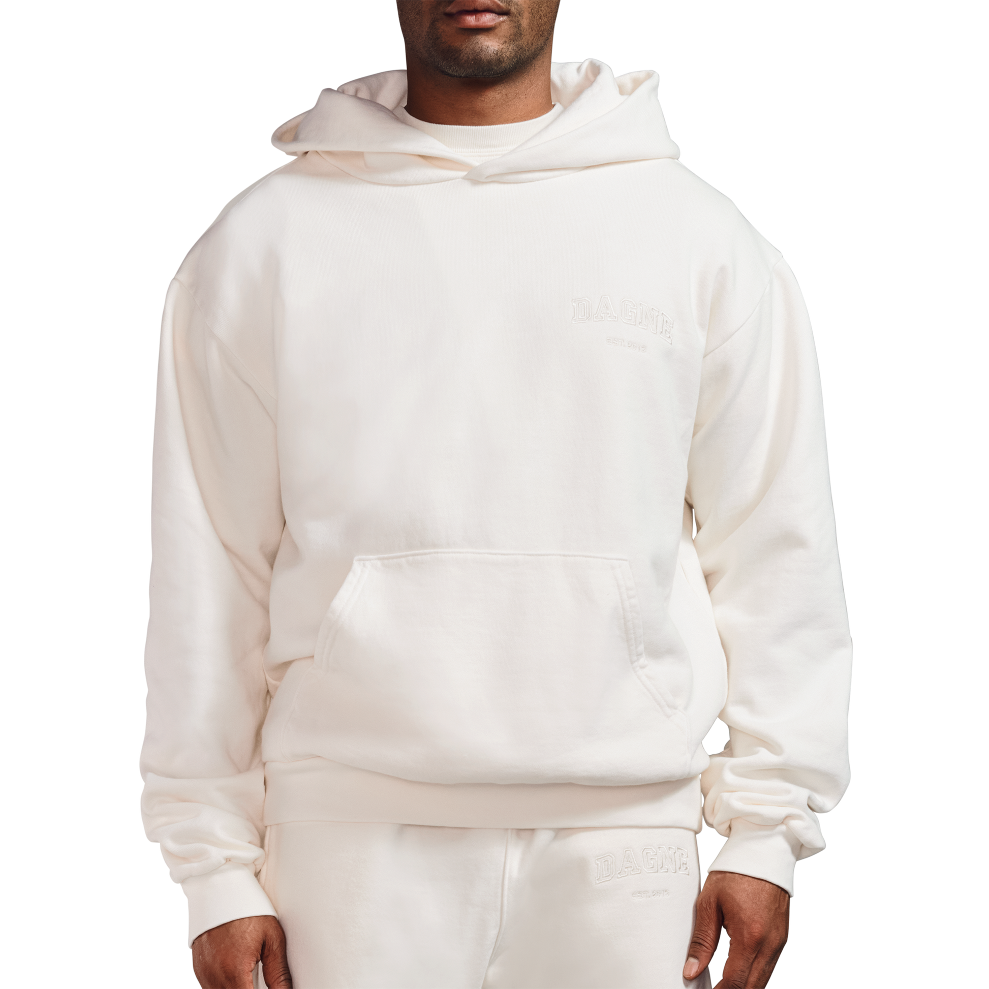 Varsity Logo Hoodie in Moonbeam, XS