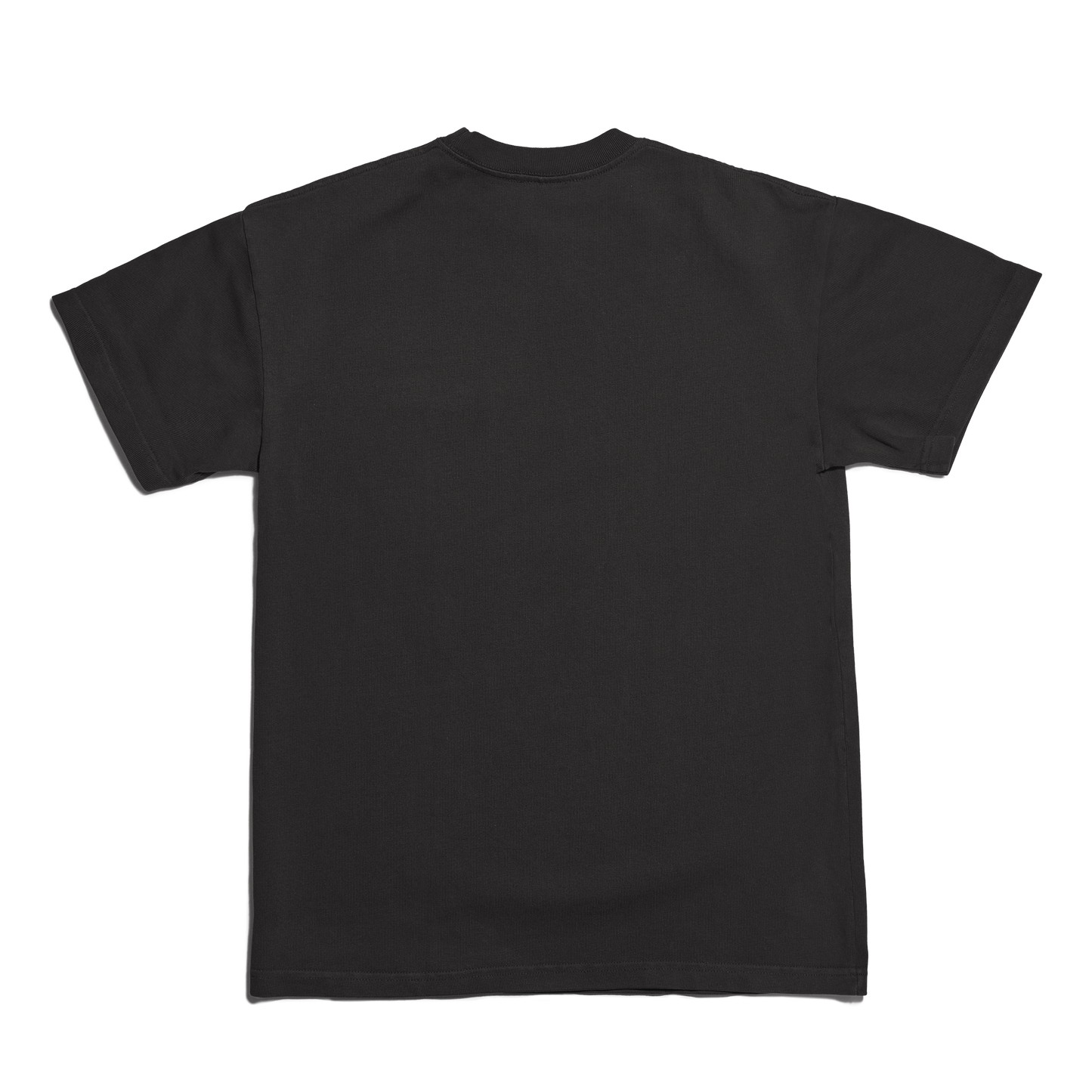 Varsity Logo T-shirt in Onyx, XS