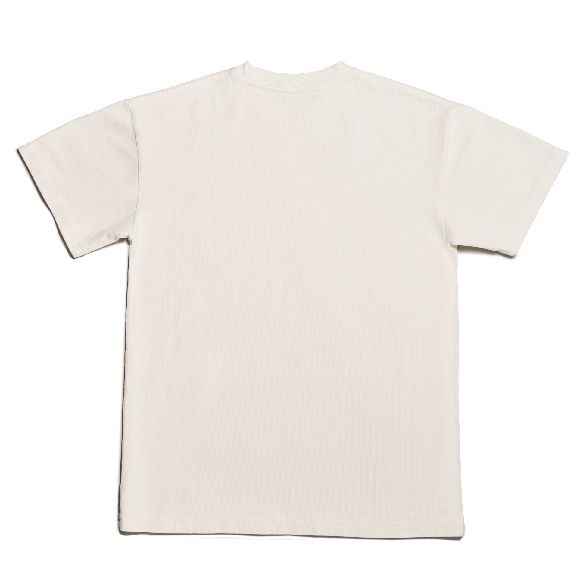 Varsity Logo T-shirt in Moonbeam, XL