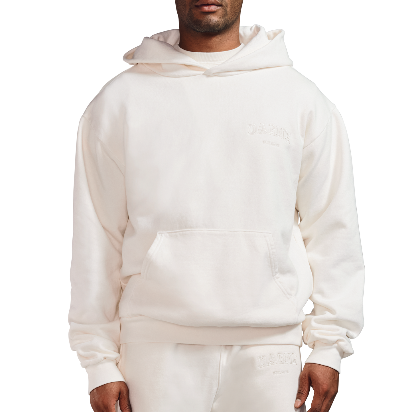 Varsity Logo Hoodie in Moonbeam, 2X