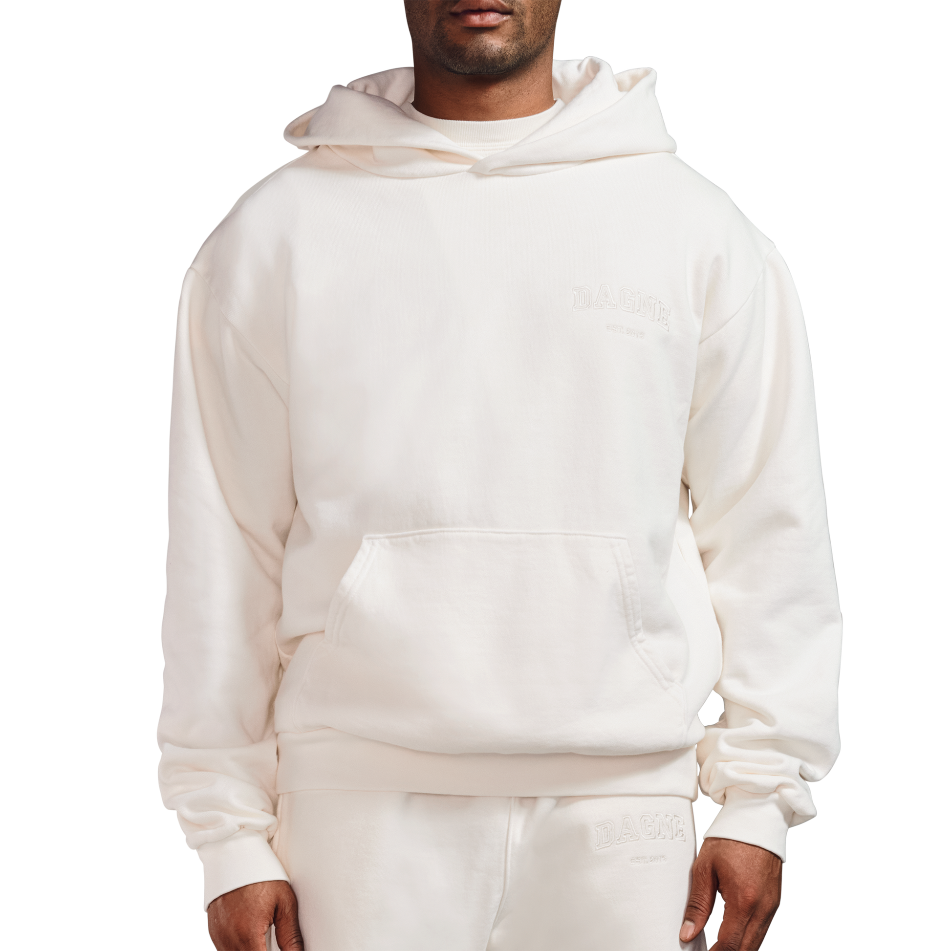 Varsity Logo Hoodie in Moonbeam, 4X
