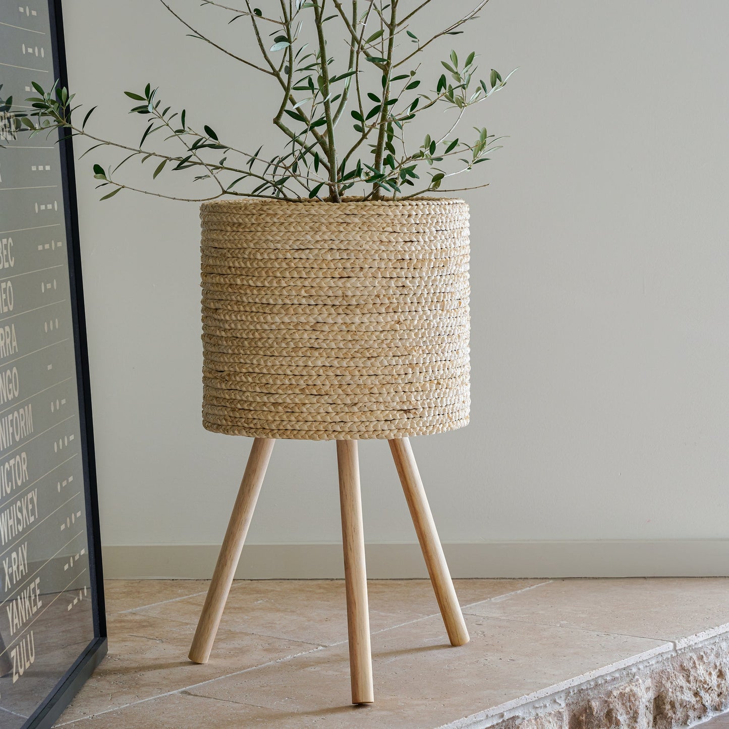 Bleached Woven Plant Stands