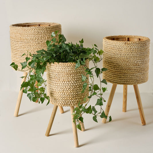 Bleached Woven Plant Stands