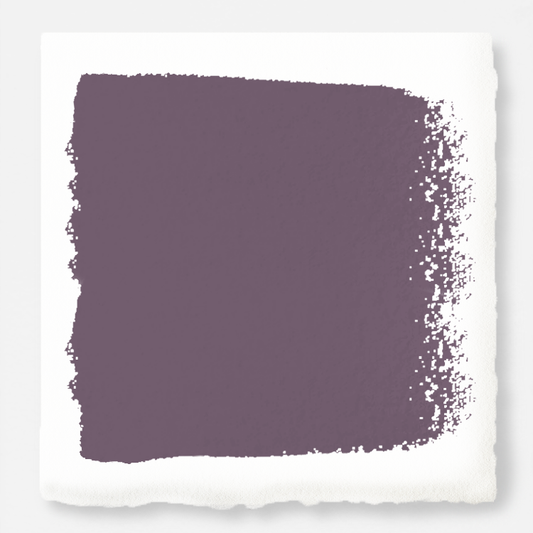 Webster Avenue - Trim, Door + Cabinetry Paint