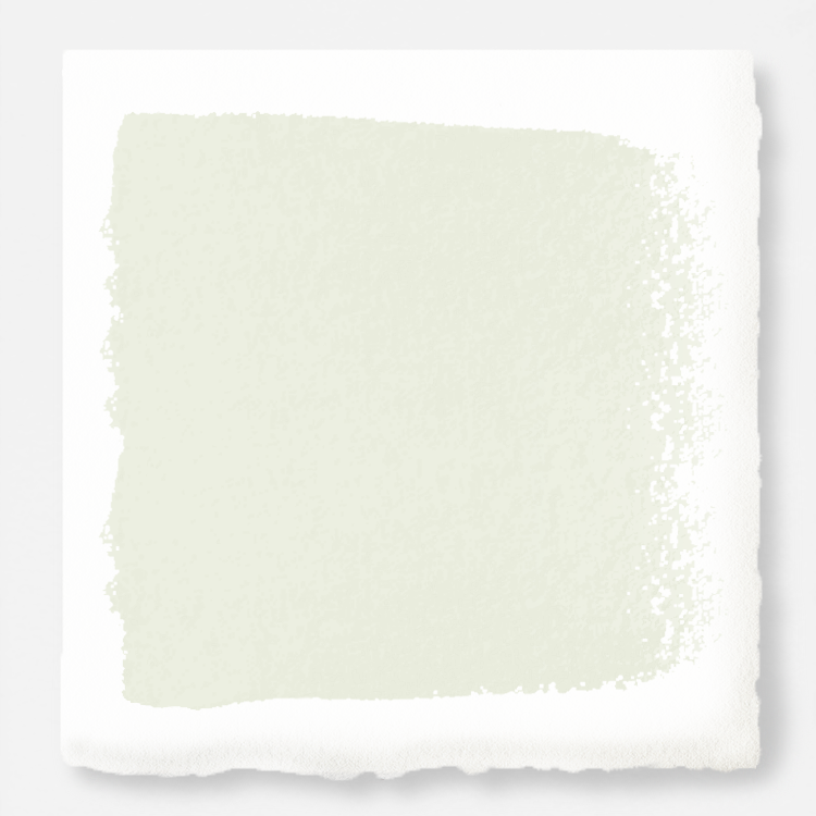 Panna Cotta  -  Premium Interior Paint