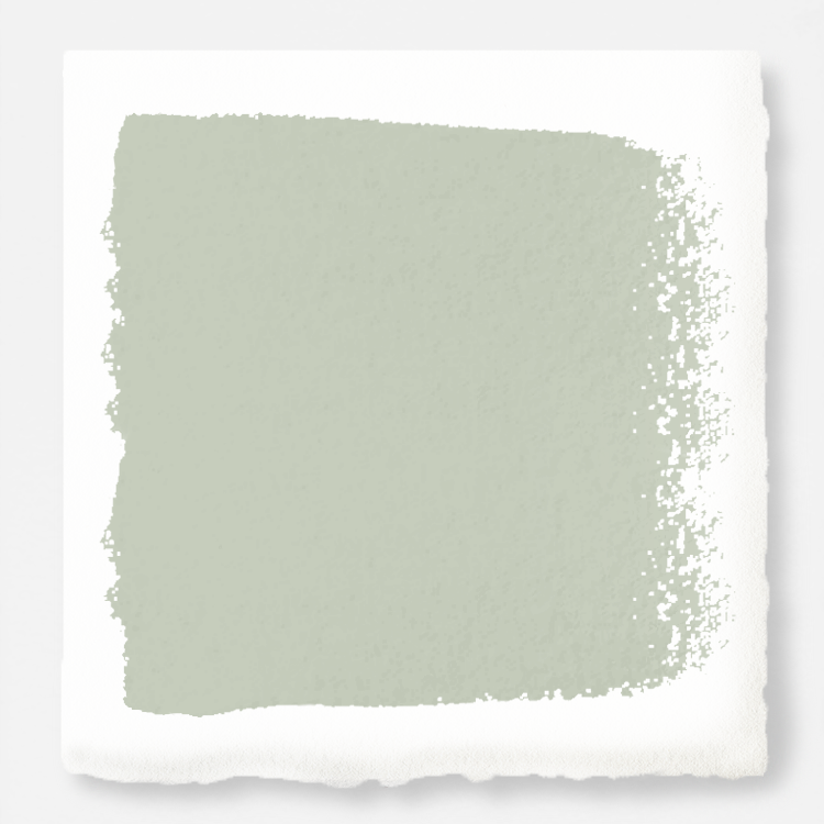Earl Gray  -  Premium Interior Paint