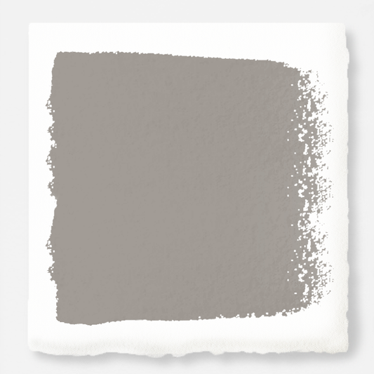 Watering Can  -  Premium Interior Paint