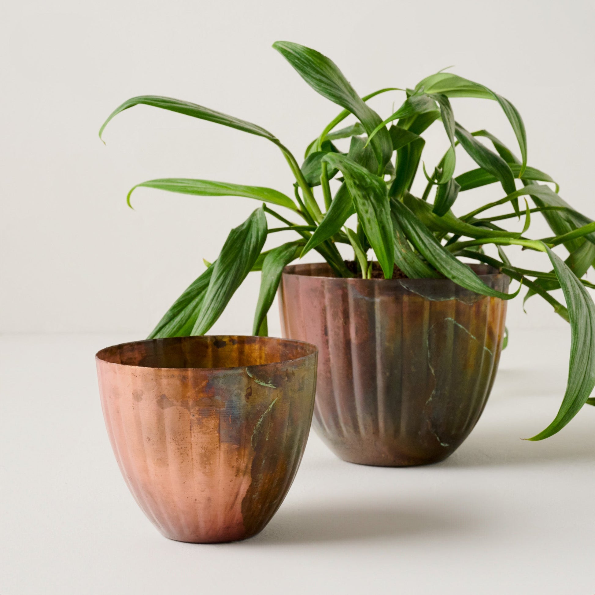 Aged Copper Planter