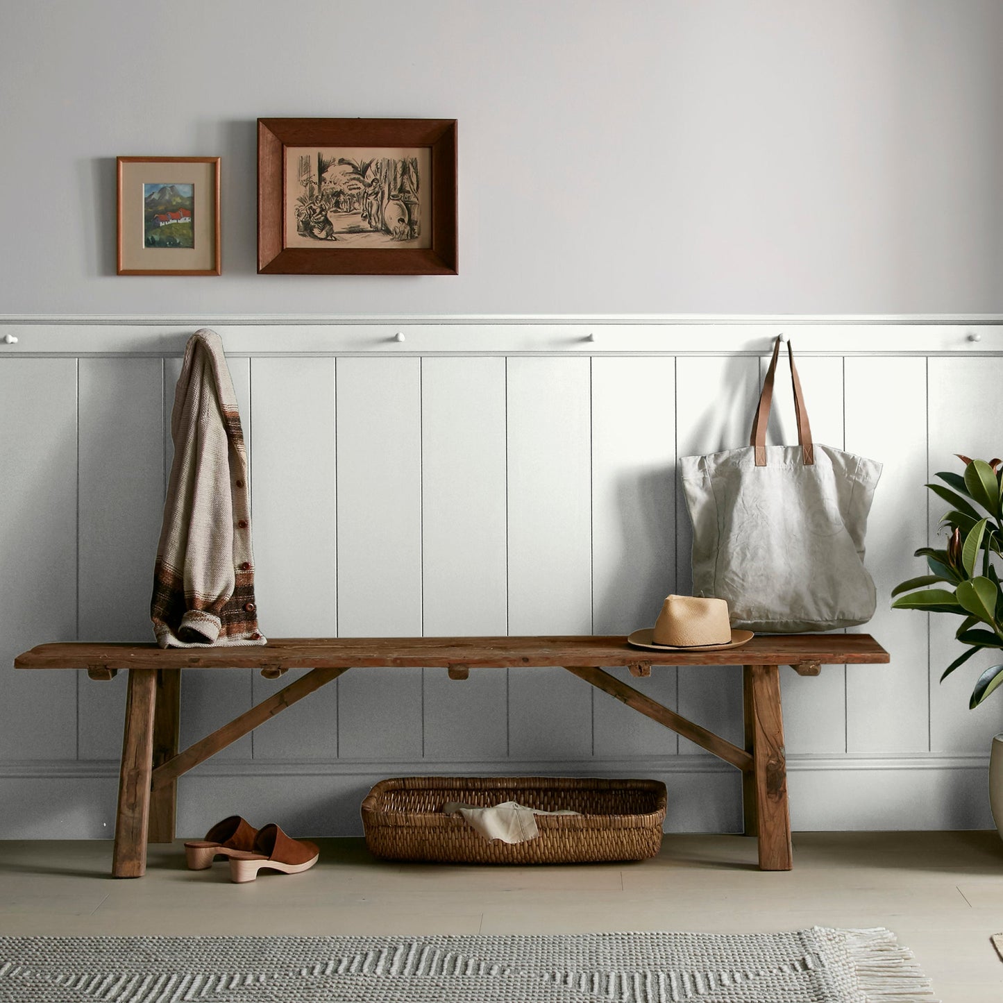 True White  -  Premium Interior Paint