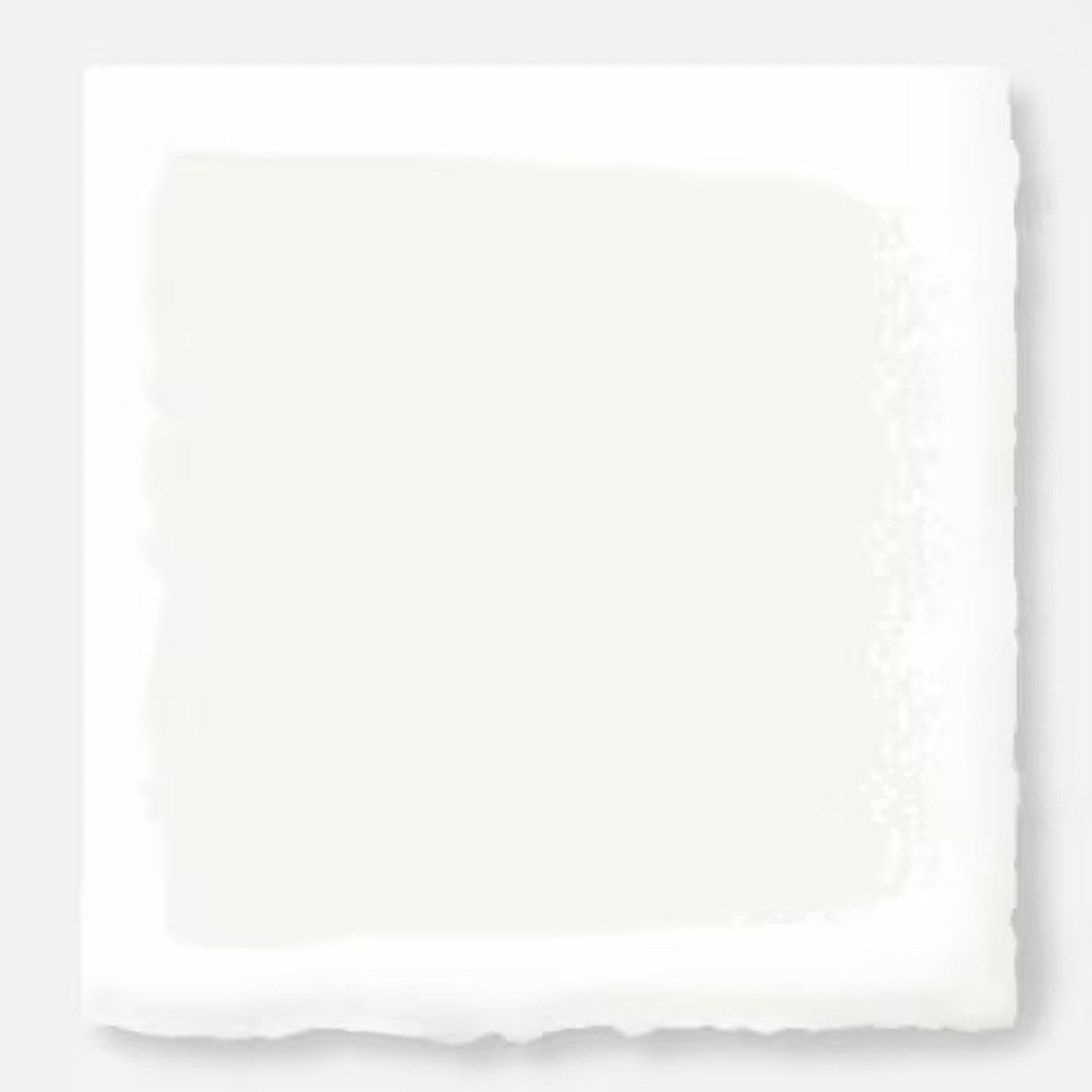 True White -  Classic Interior Paint