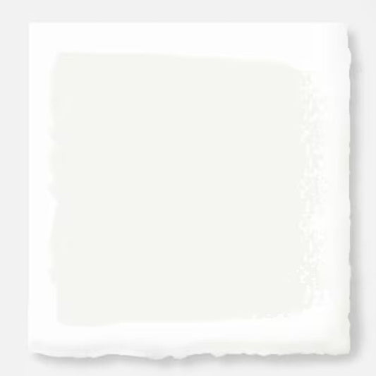 True White -  Classic Interior Paint