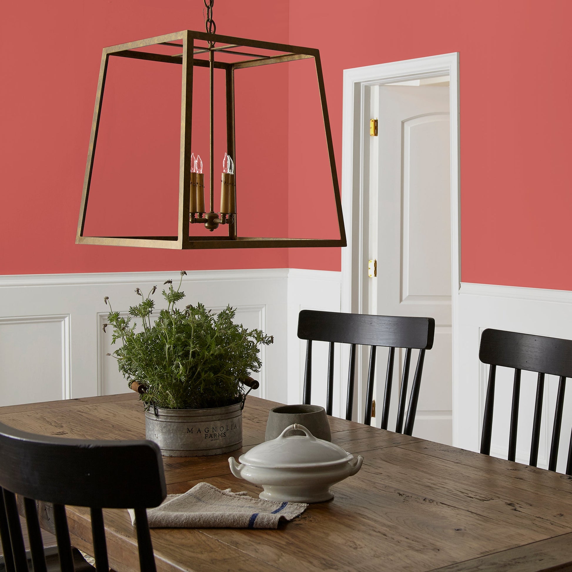 Vine Ripened Tomato - Premium Interior Paint