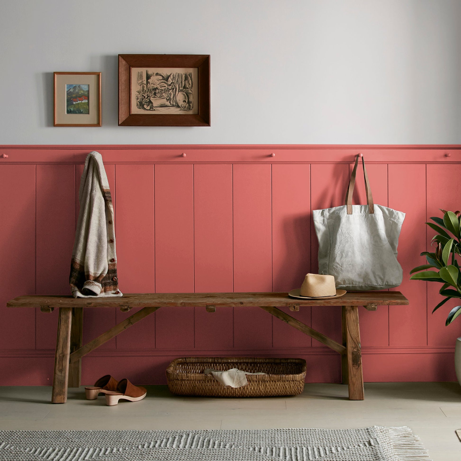 Vine Ripened Tomato - Premium Interior Paint