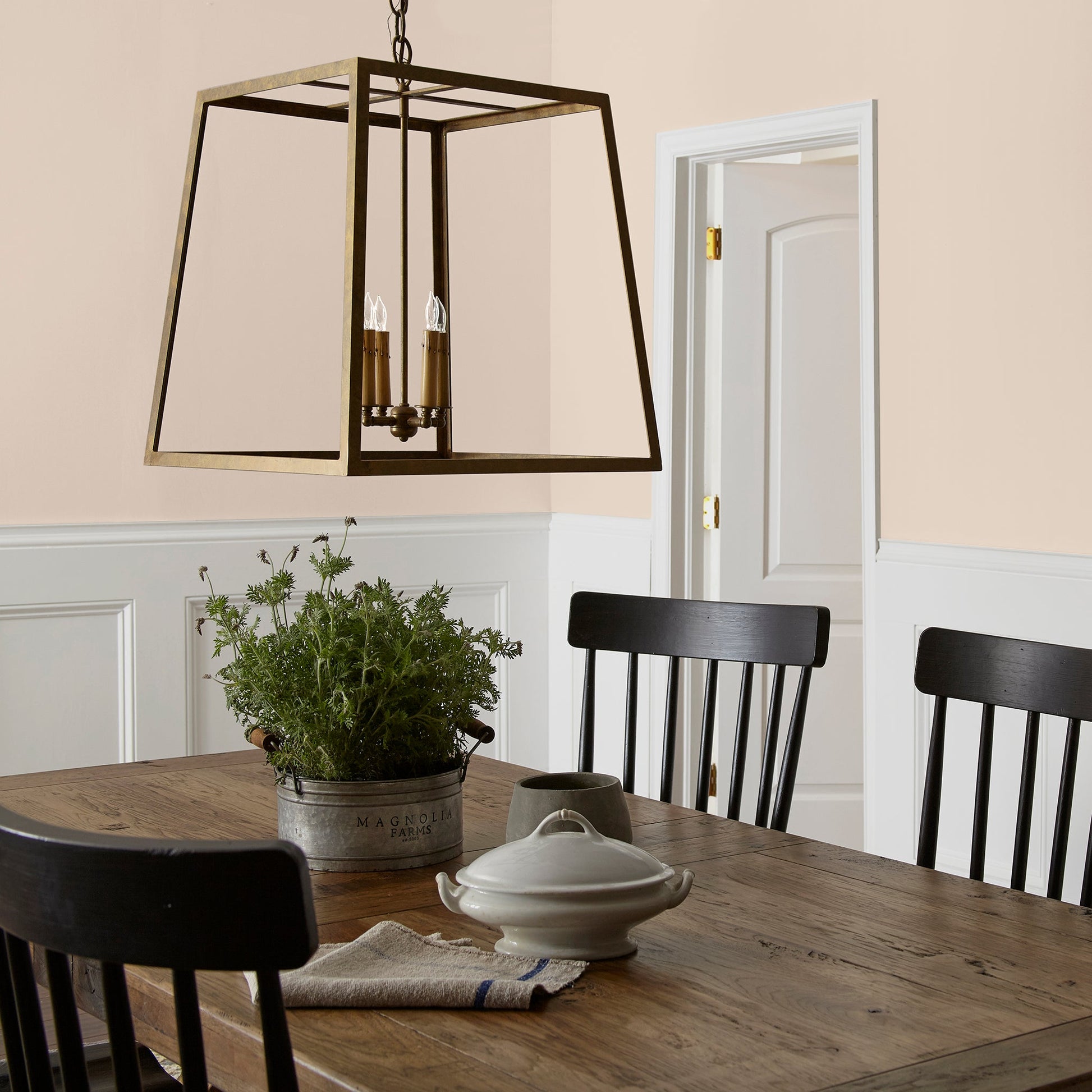 Dutch Tulip  -  Premium Interior Paint