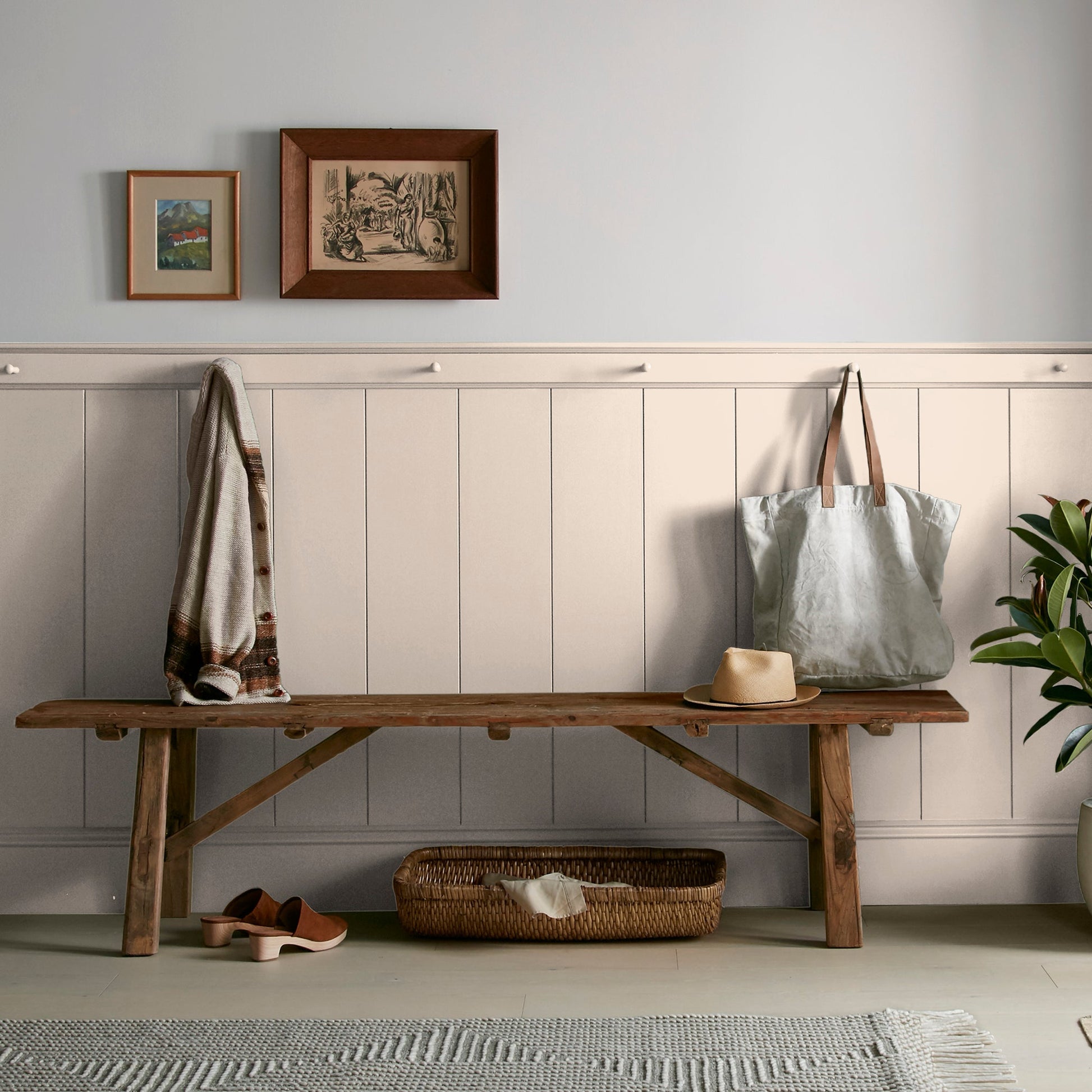 Dutch Tulip  -  Premium Interior Paint