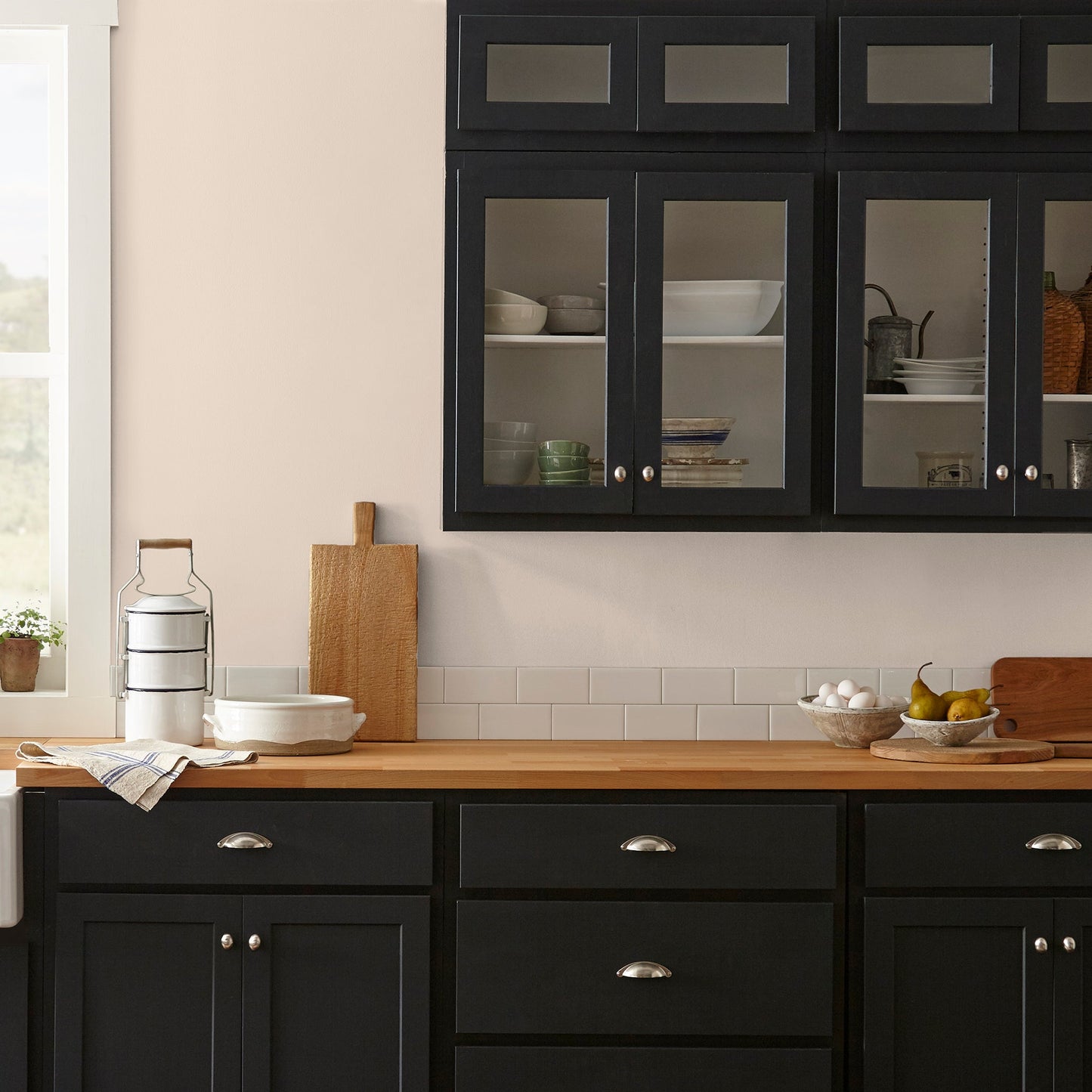 Dutch Tulip  -  Premium Interior Paint