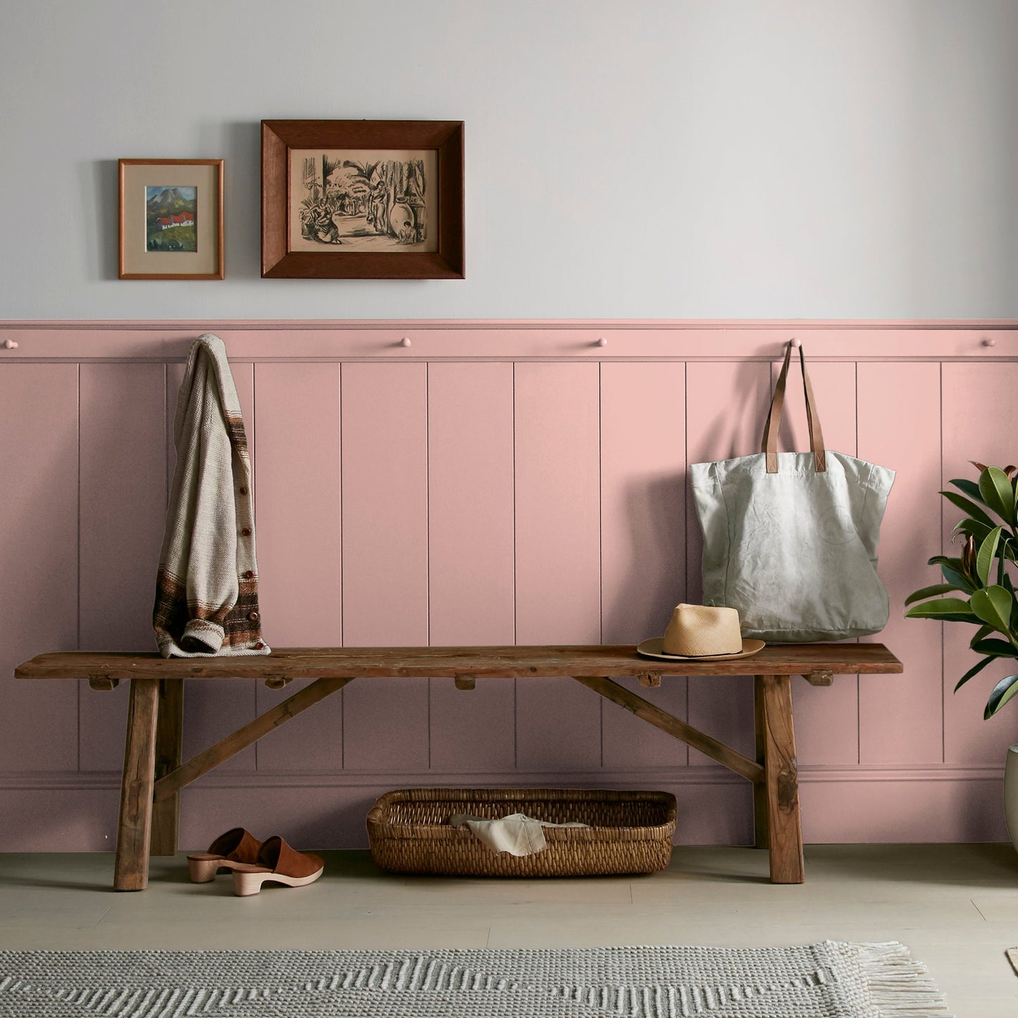 Cabbage Rose  -  Premium Interior Paint