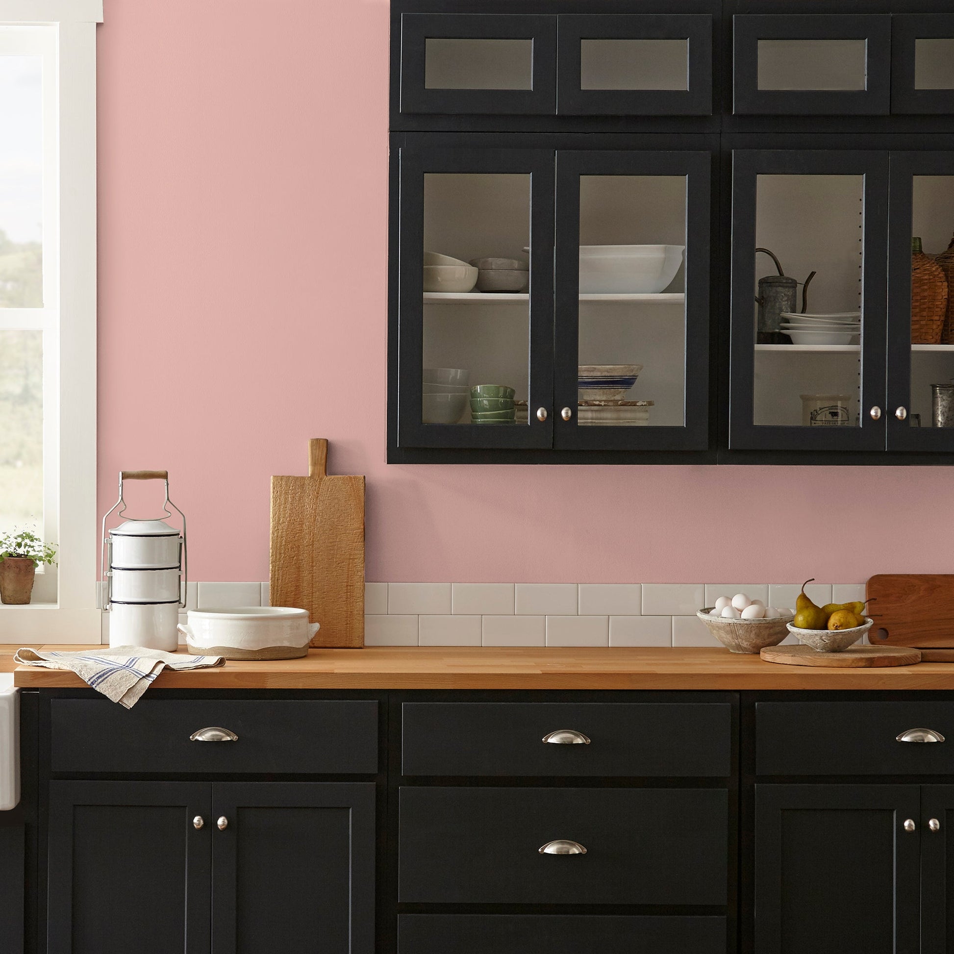 Cabbage Rose  -  Premium Interior Paint