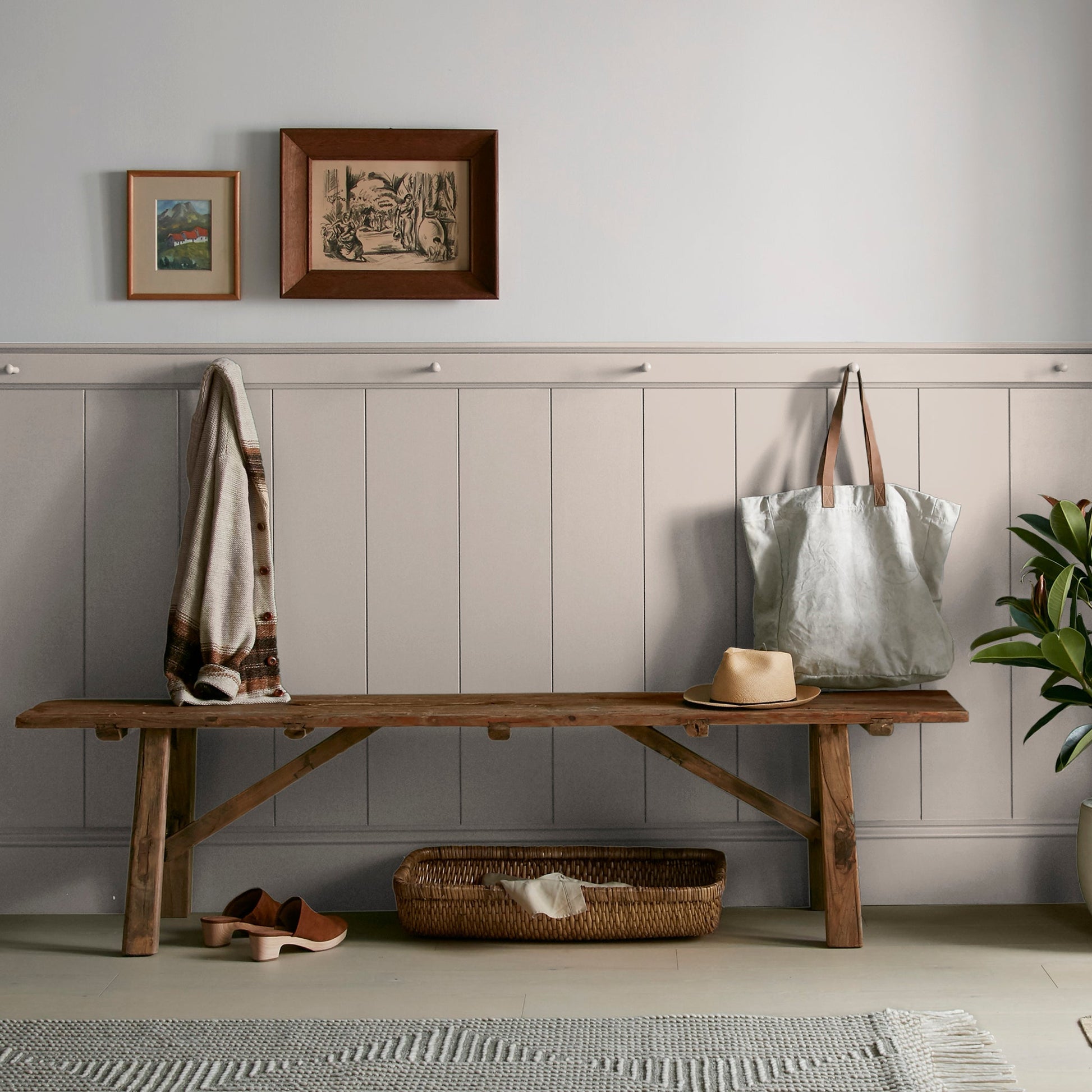 Cinnamon Sugar  -  Premium Interior Paint