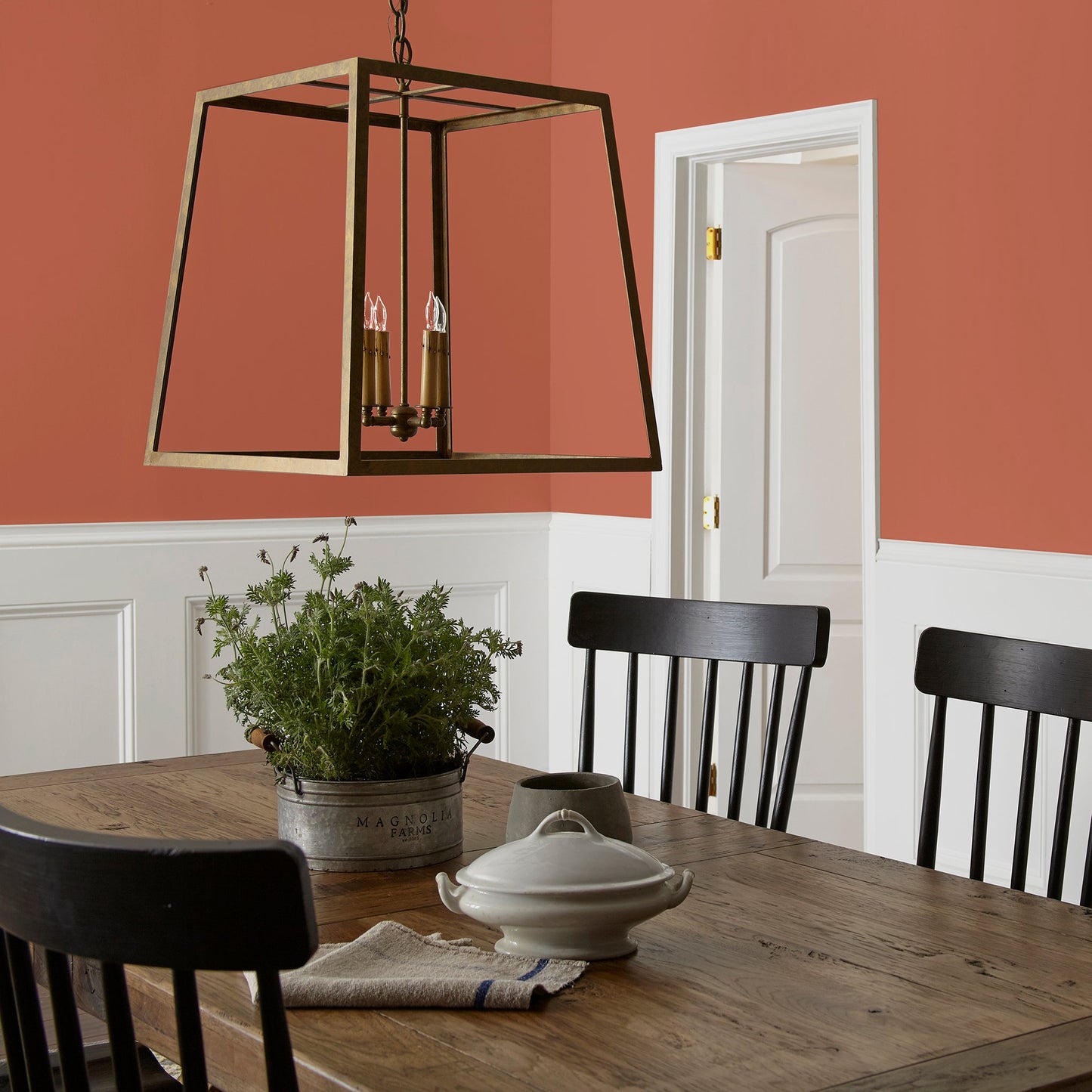 On Bosque  -  Premium Interior Paint