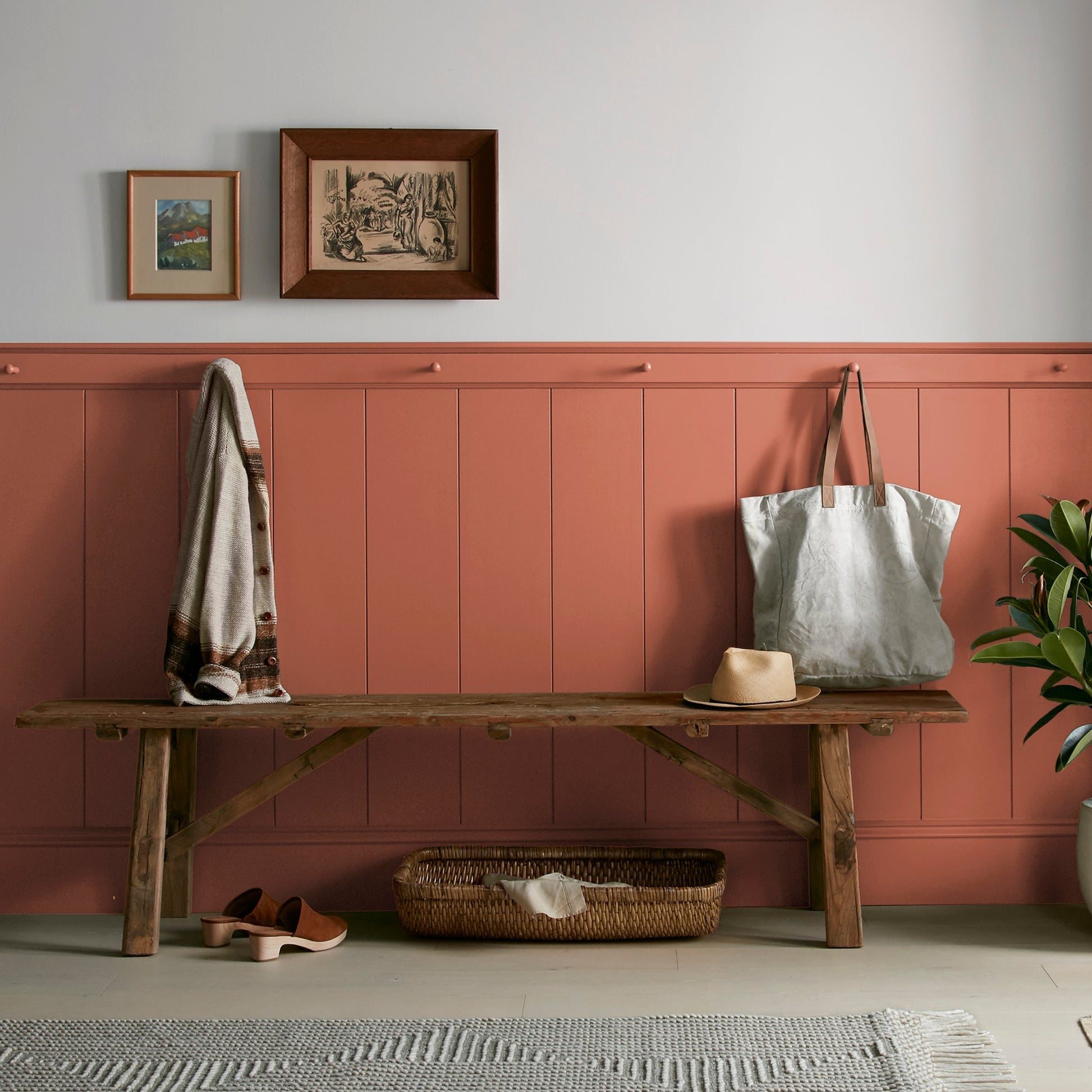 On Bosque  -  Premium Interior Paint