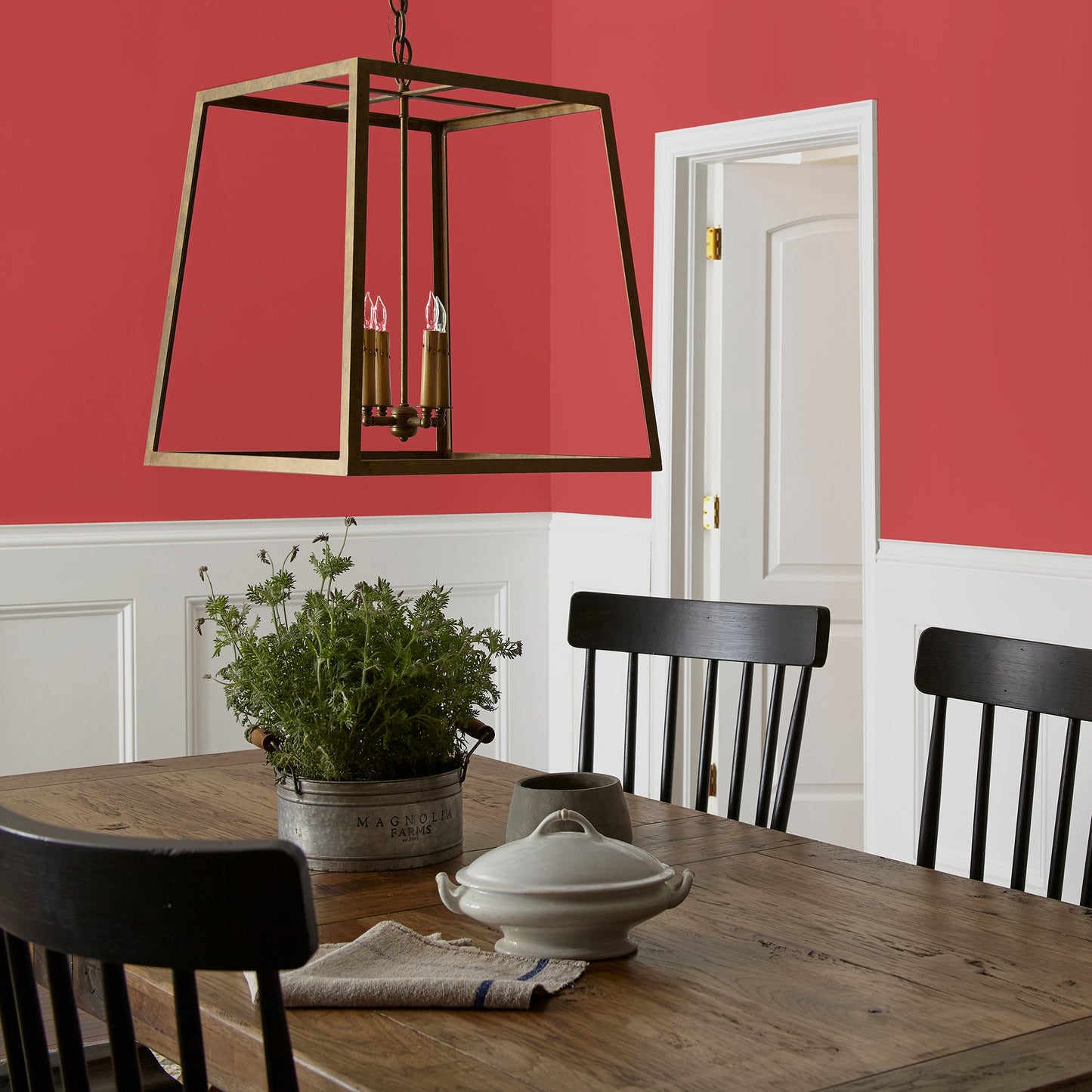 Brave and Bold  -  Premium Interior Paint