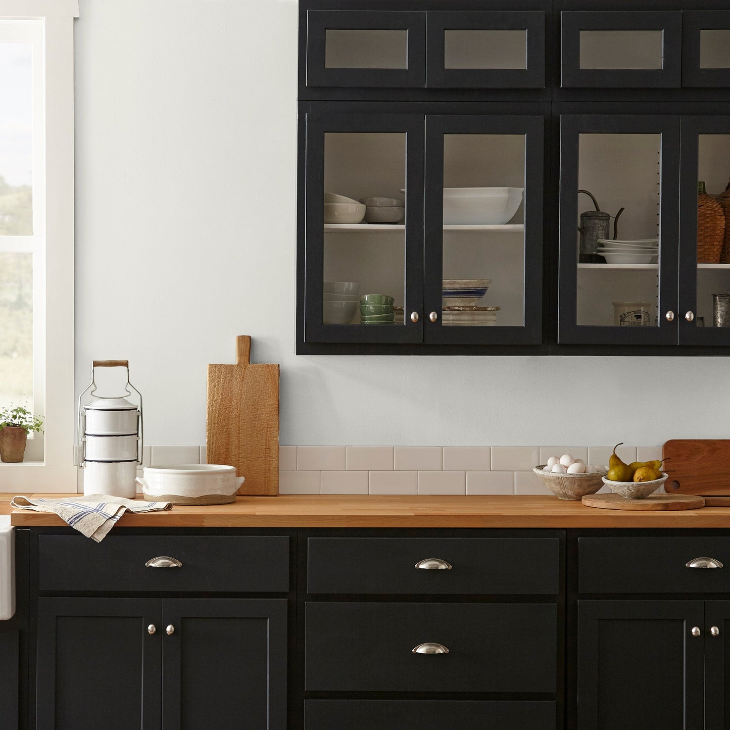 Panna Cotta  -  Premium Interior Paint