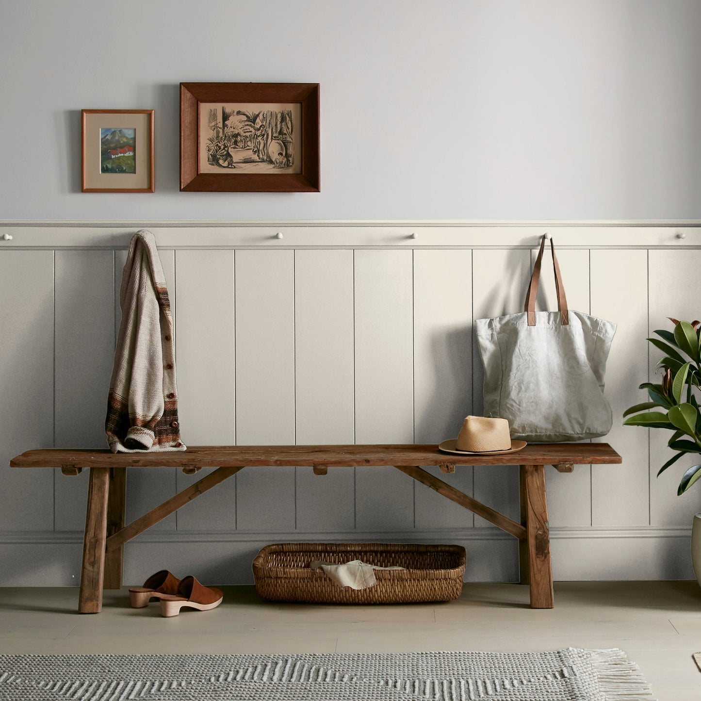 Blanched -  Classic Interior Paint