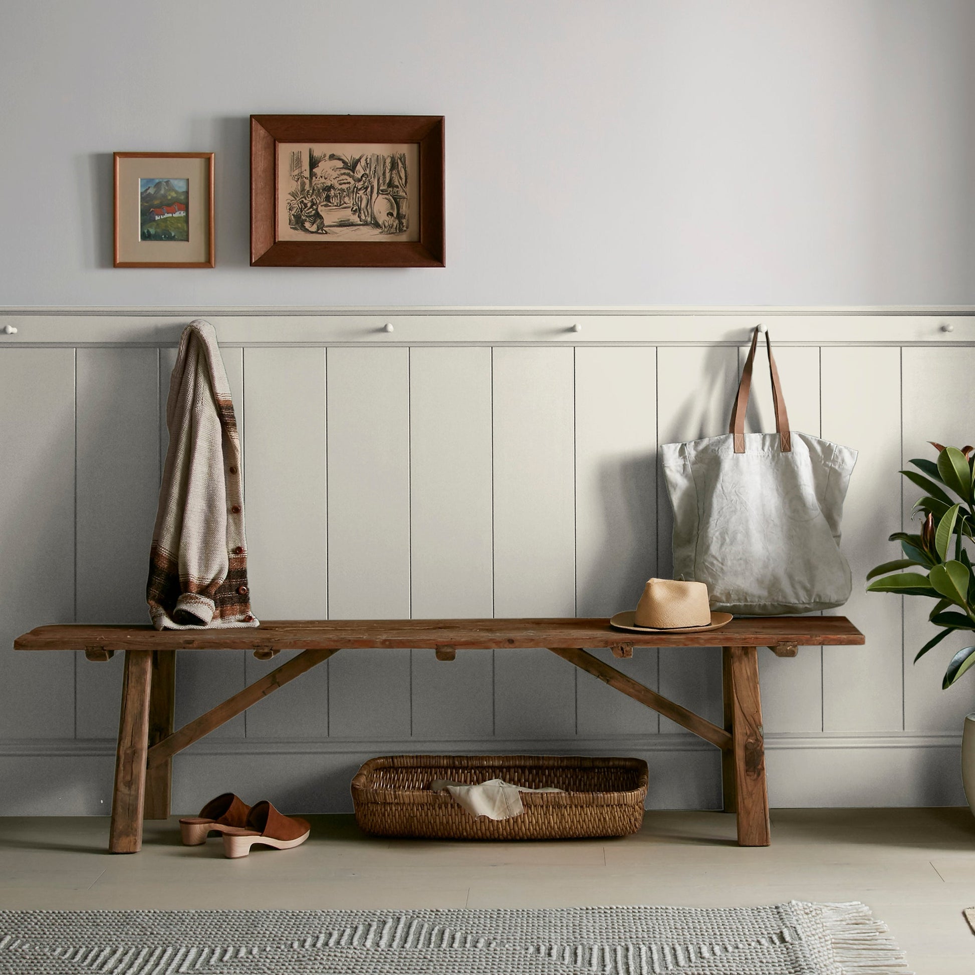 Locally Sown  -  Premium Interior Paint