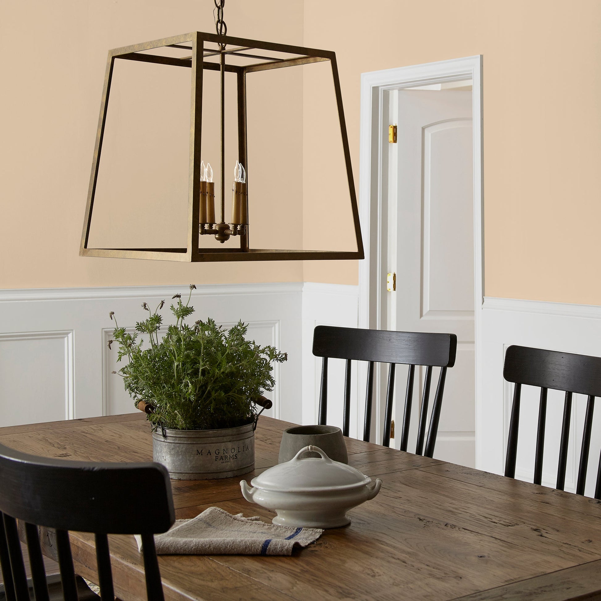 Ambient Light  -  Premium Interior Paint